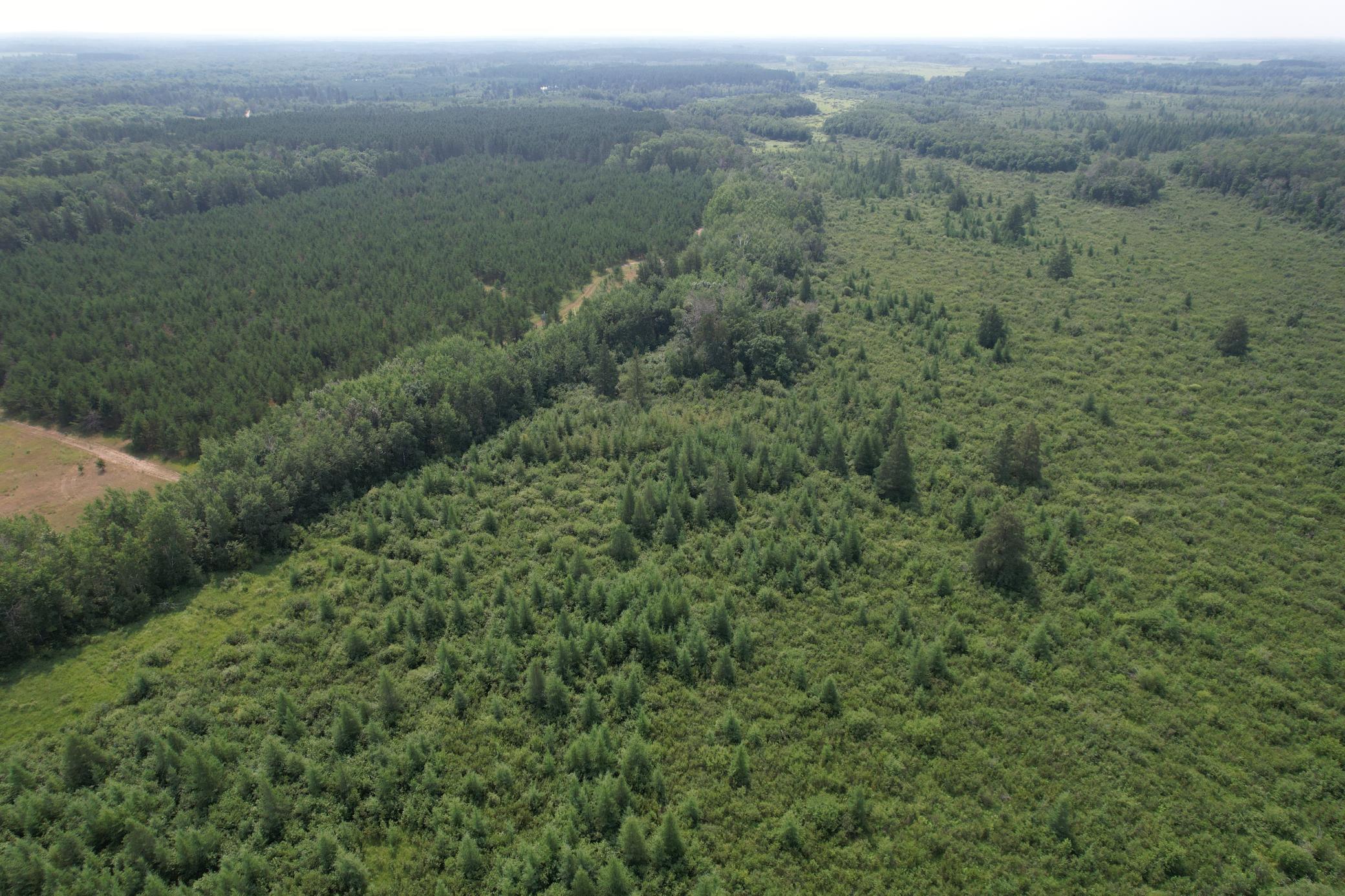 Tbd Co Rd 7 Property Photo 12
