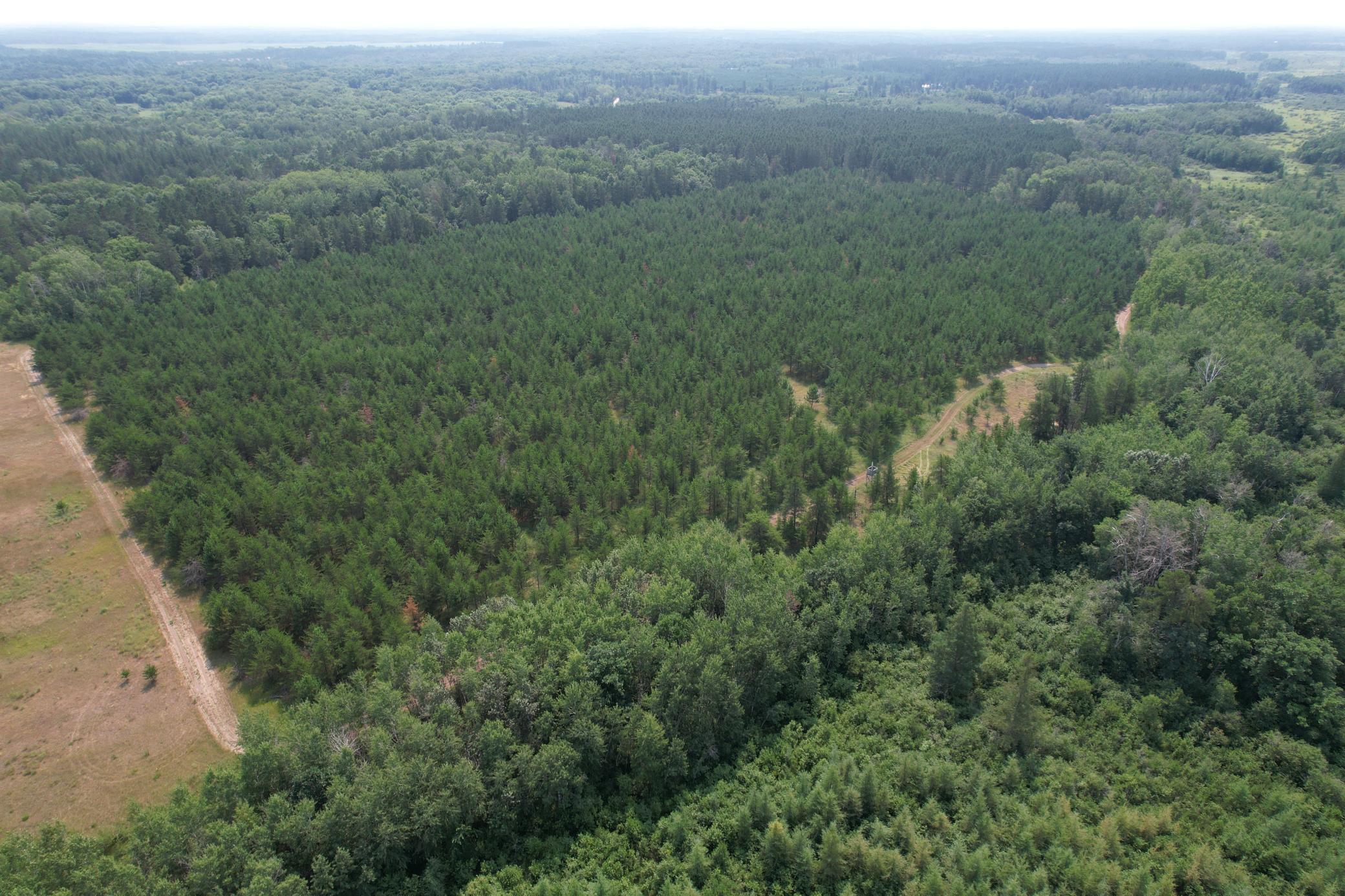 Tbd Co Rd 7 Property Photo 13