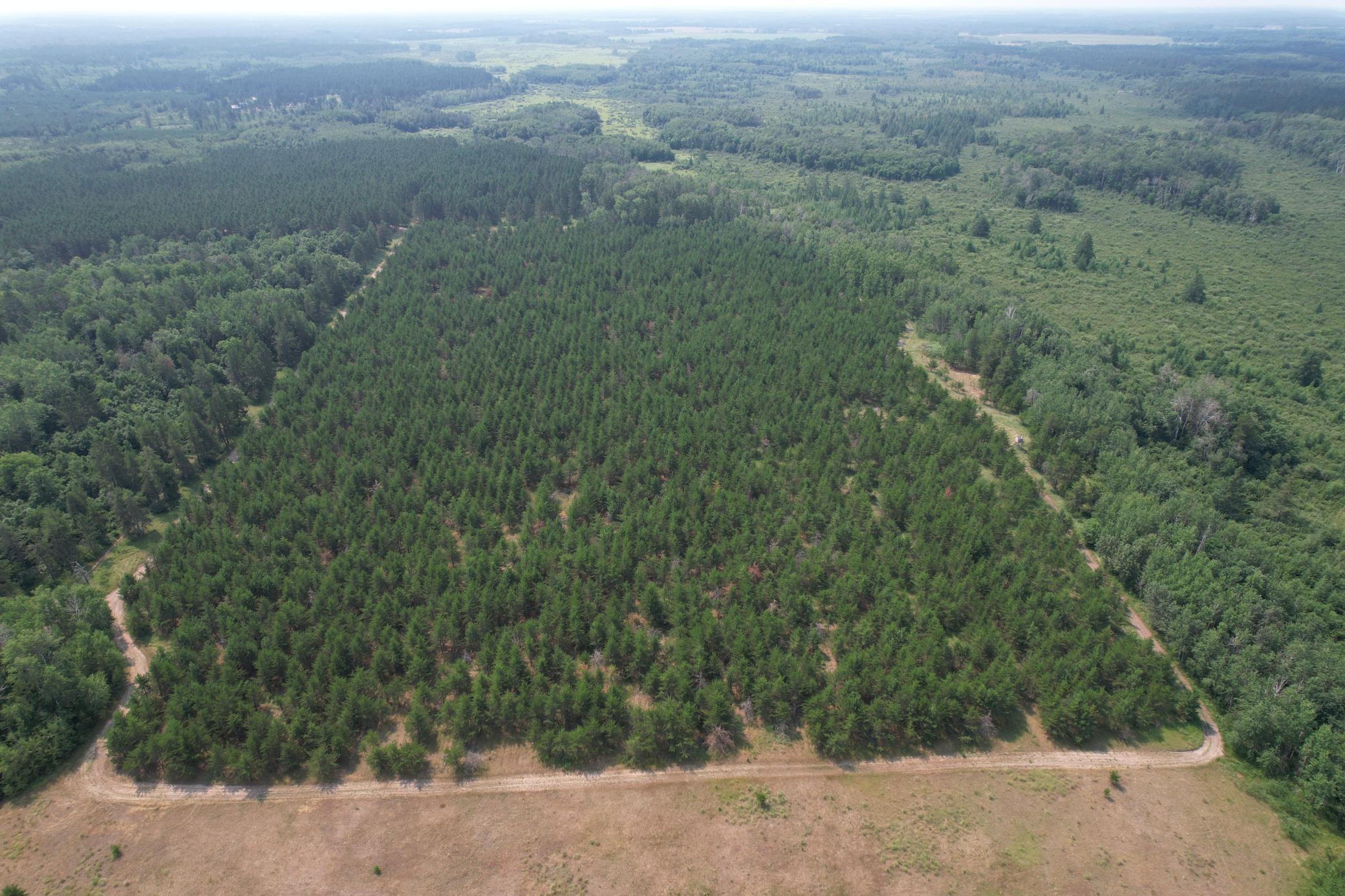 Tbd Co Rd 7 Property Photo 14