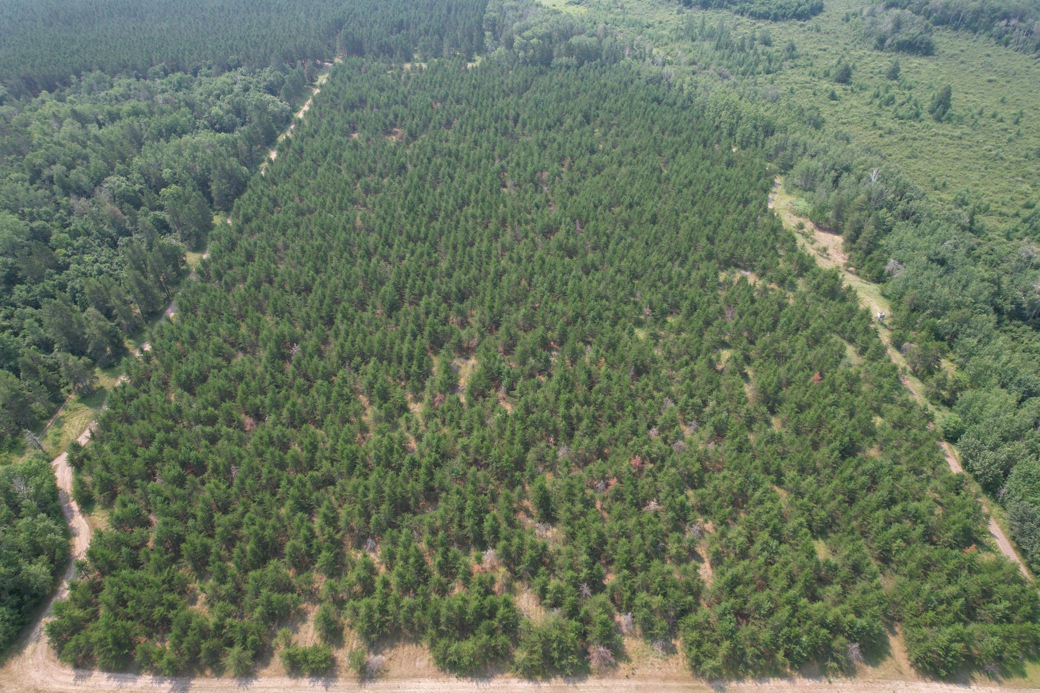 Tbd Co Rd 7 Property Photo 15
