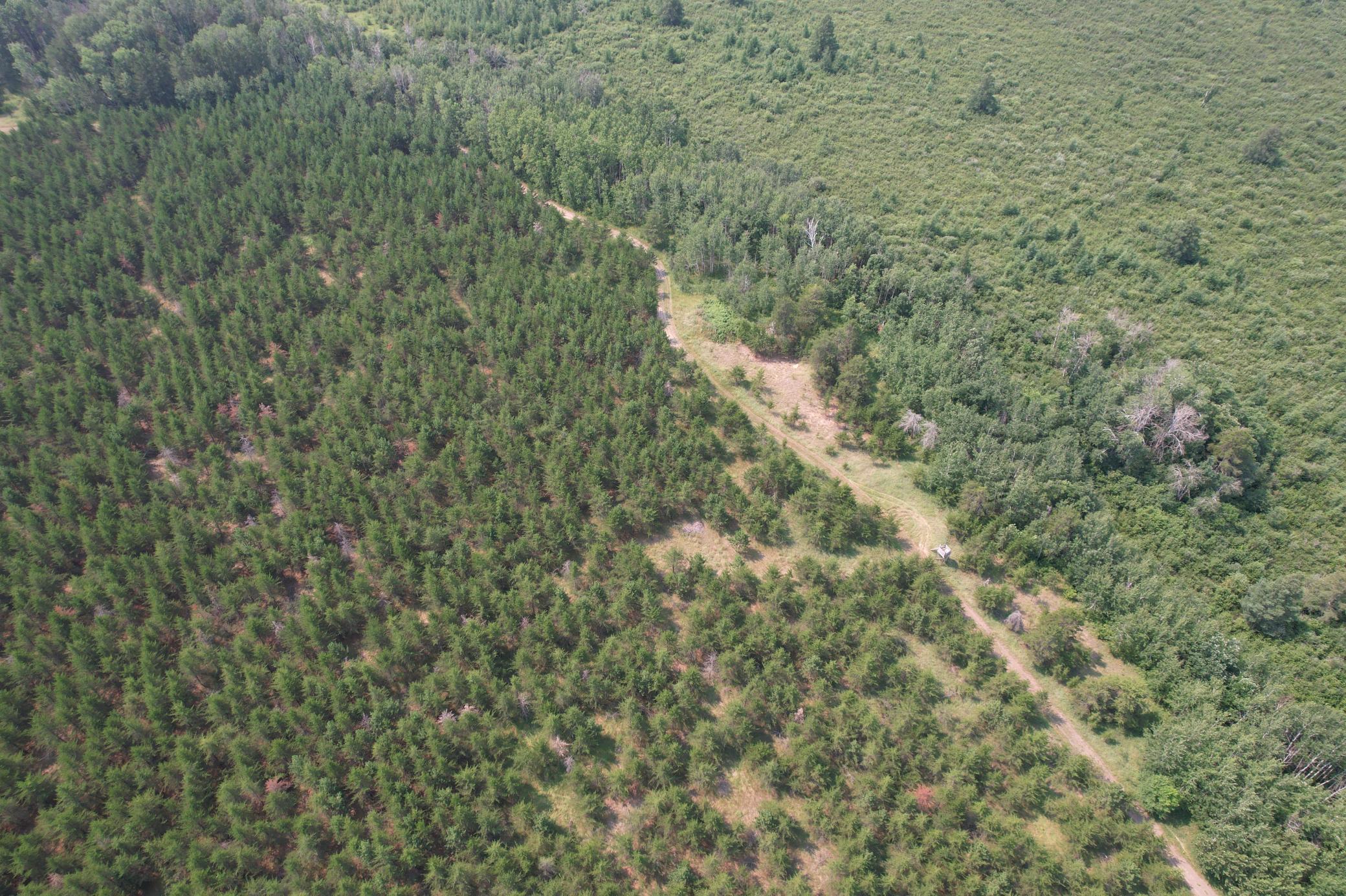 Tbd Co Rd 7 Property Photo 16