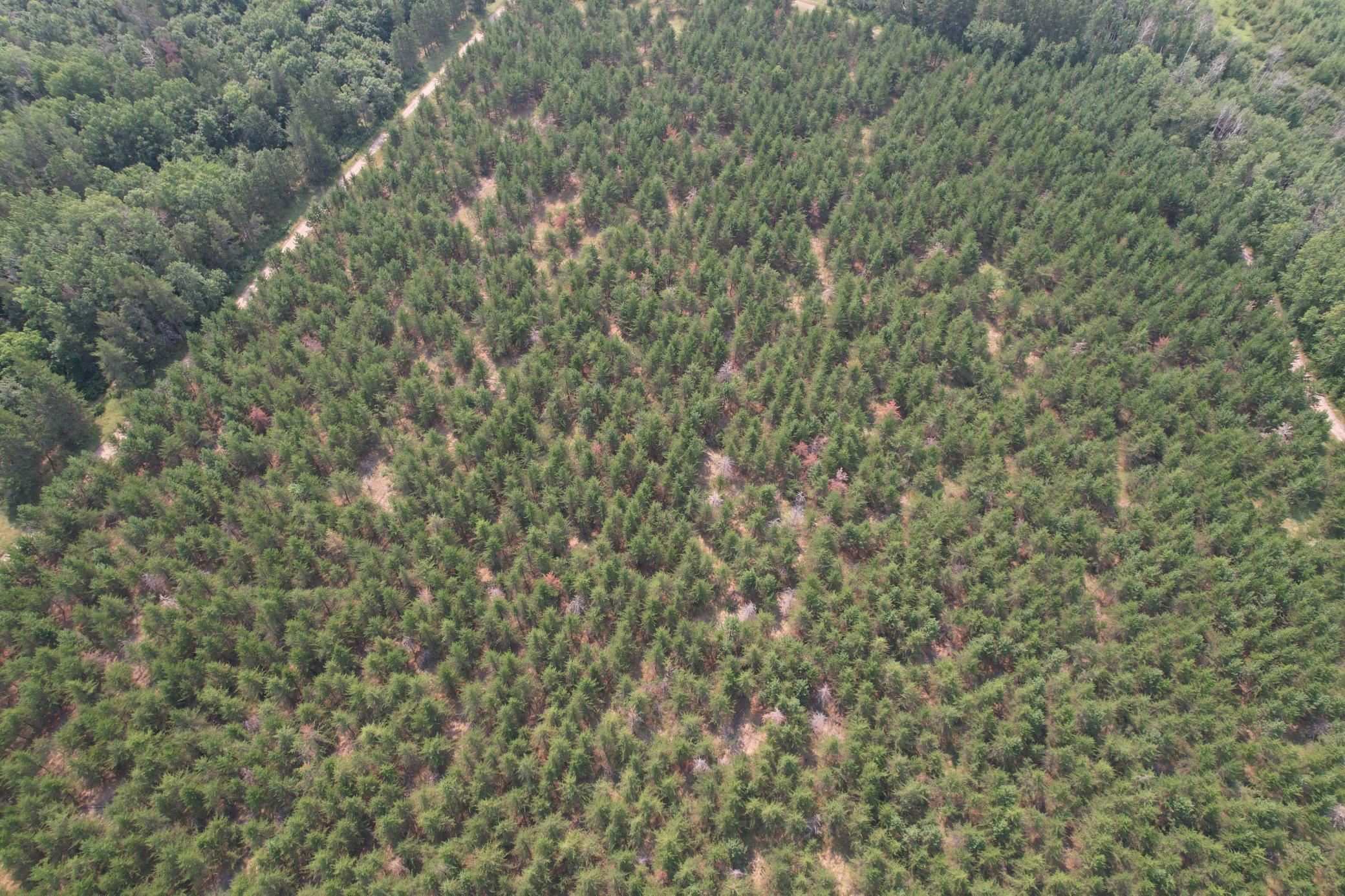 Tbd Co Rd 7 Property Photo 17