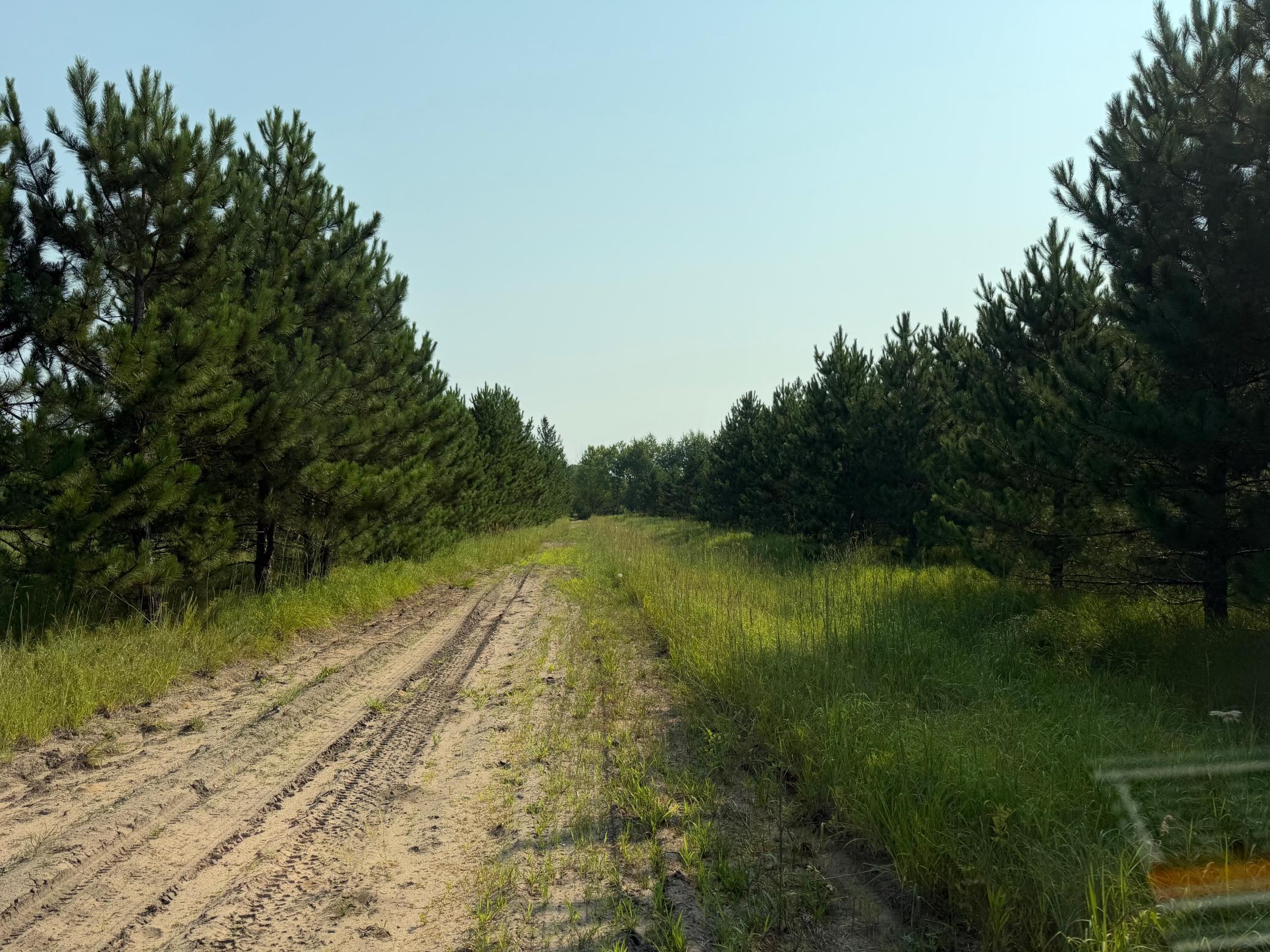 Tbd Co Rd 7 Property Photo 29