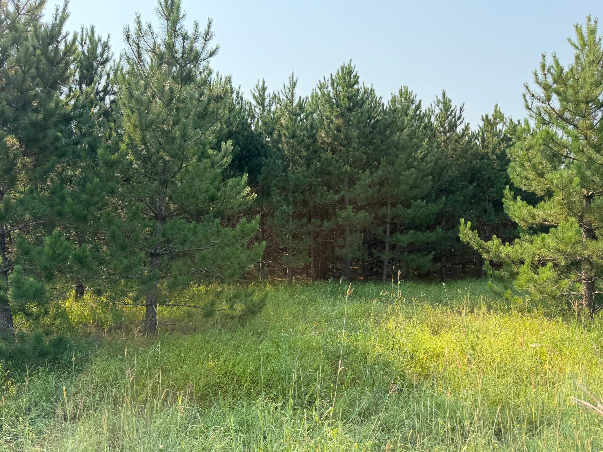 Tbd Co Rd 7 Property Photo 30
