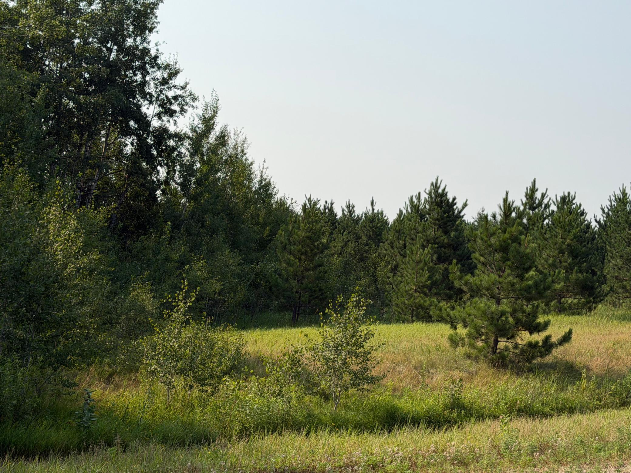 Tbd Co Rd 7 Property Photo 31