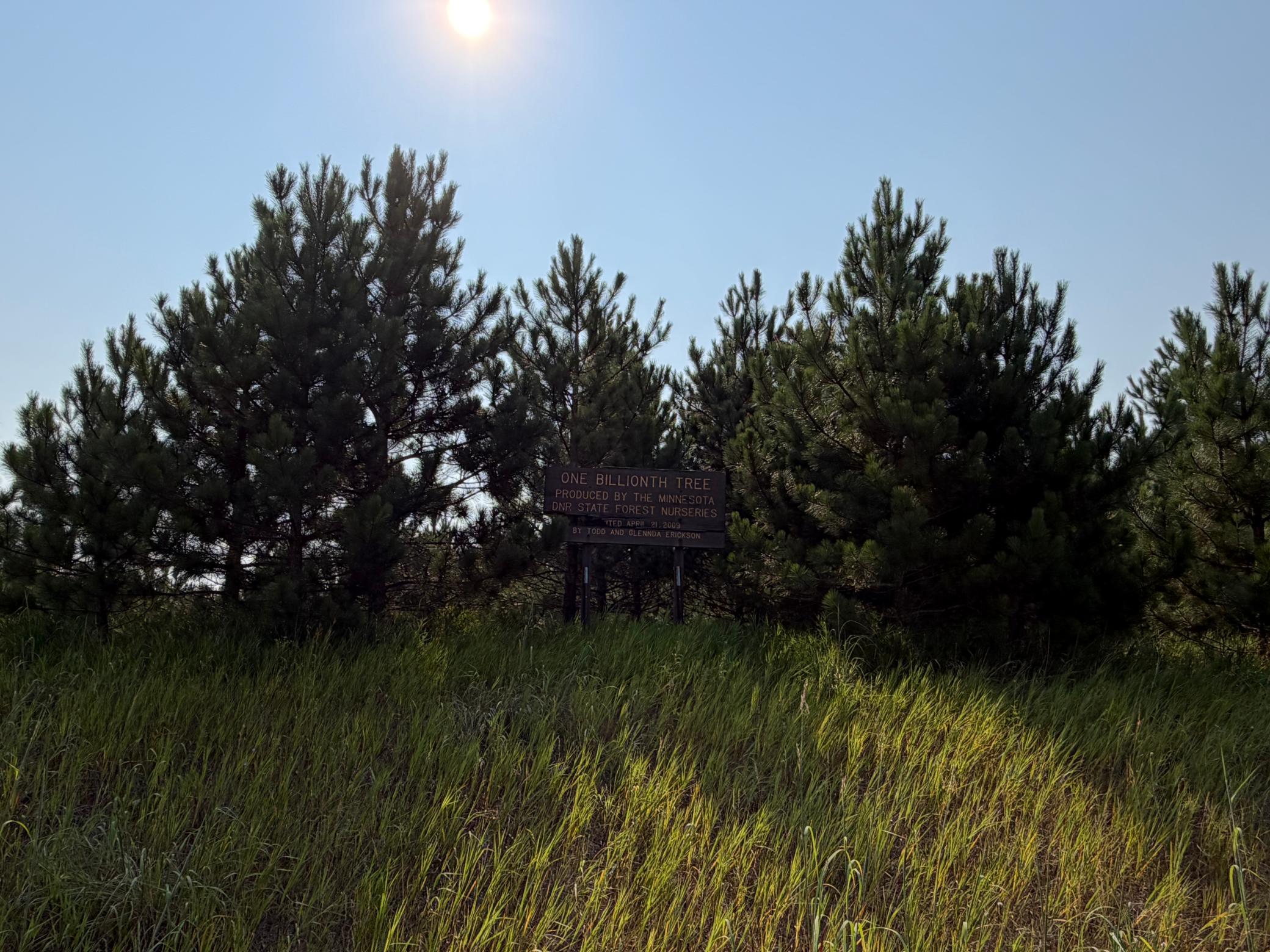 Tbd Co Rd 7 Property Photo 34