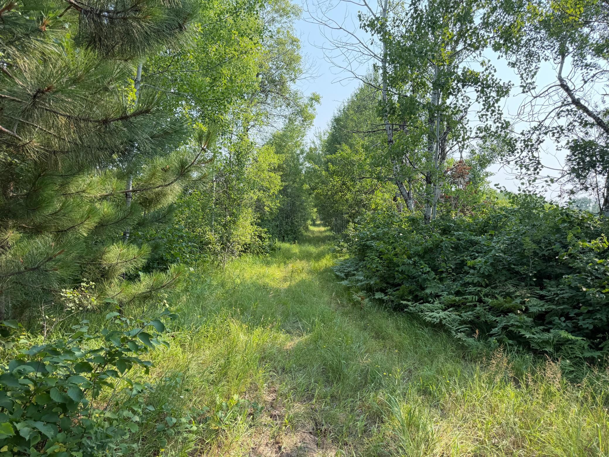 Tbd Co Rd 7 Property Photo 35