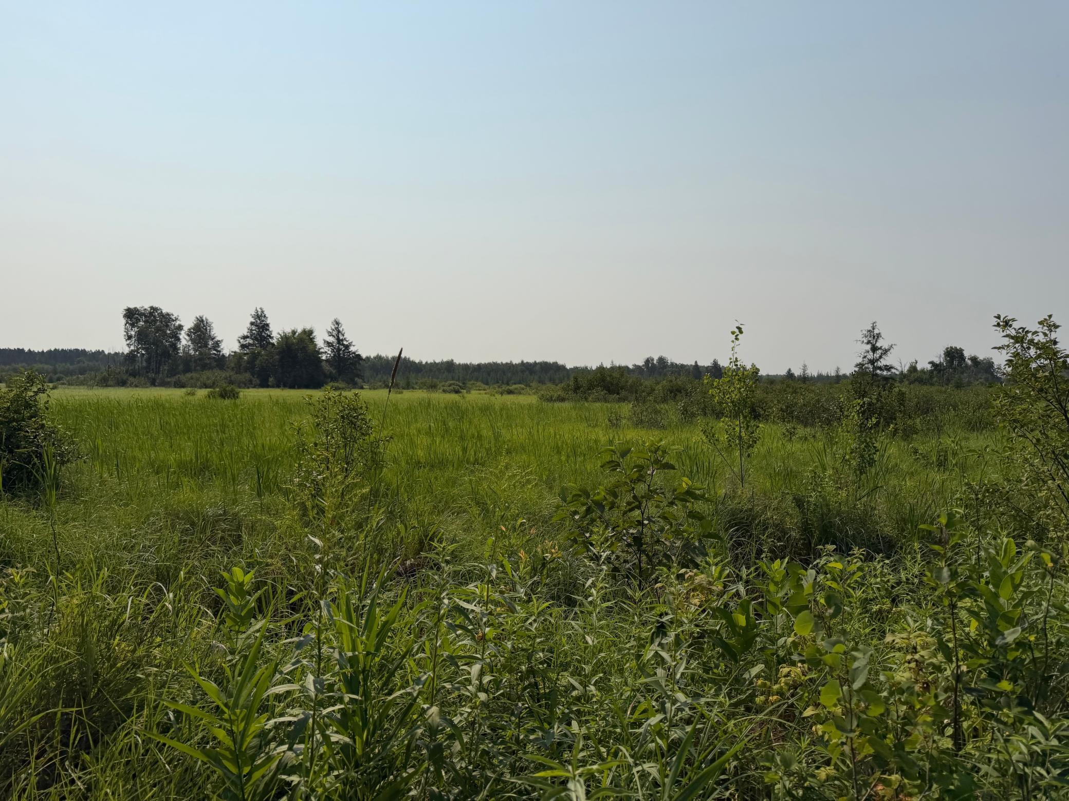 Tbd Co Rd 7 Property Photo 36
