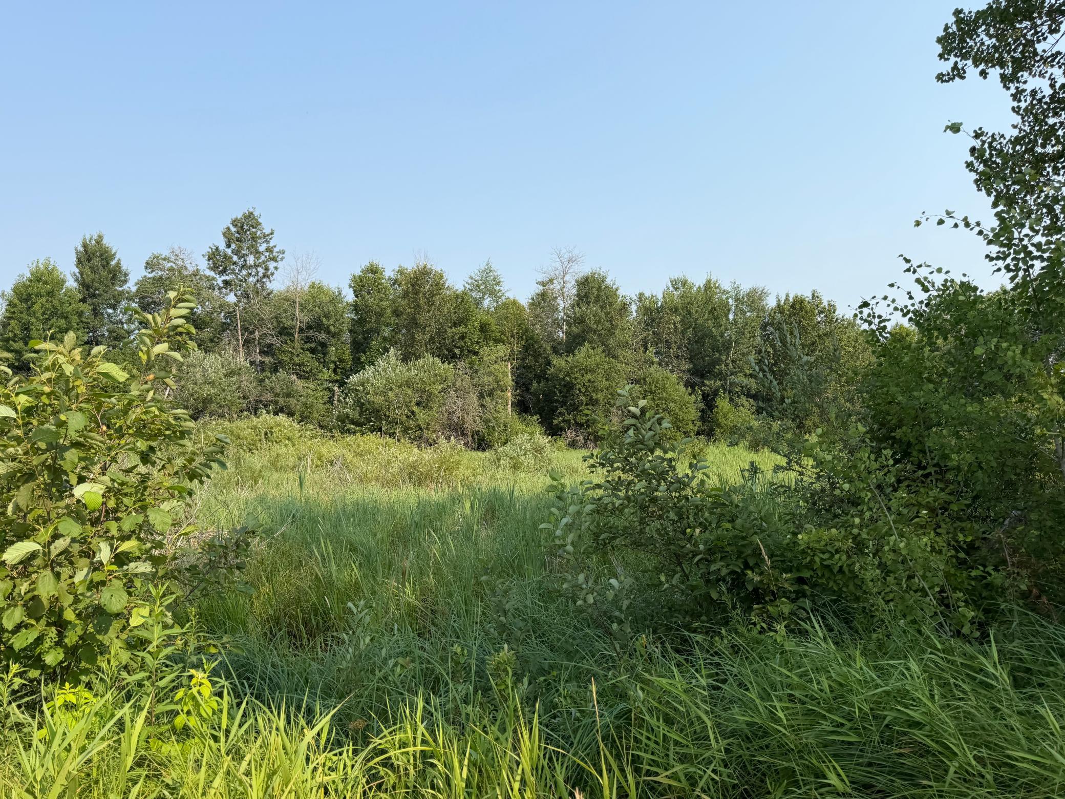 Tbd Co Rd 7 Property Photo 37