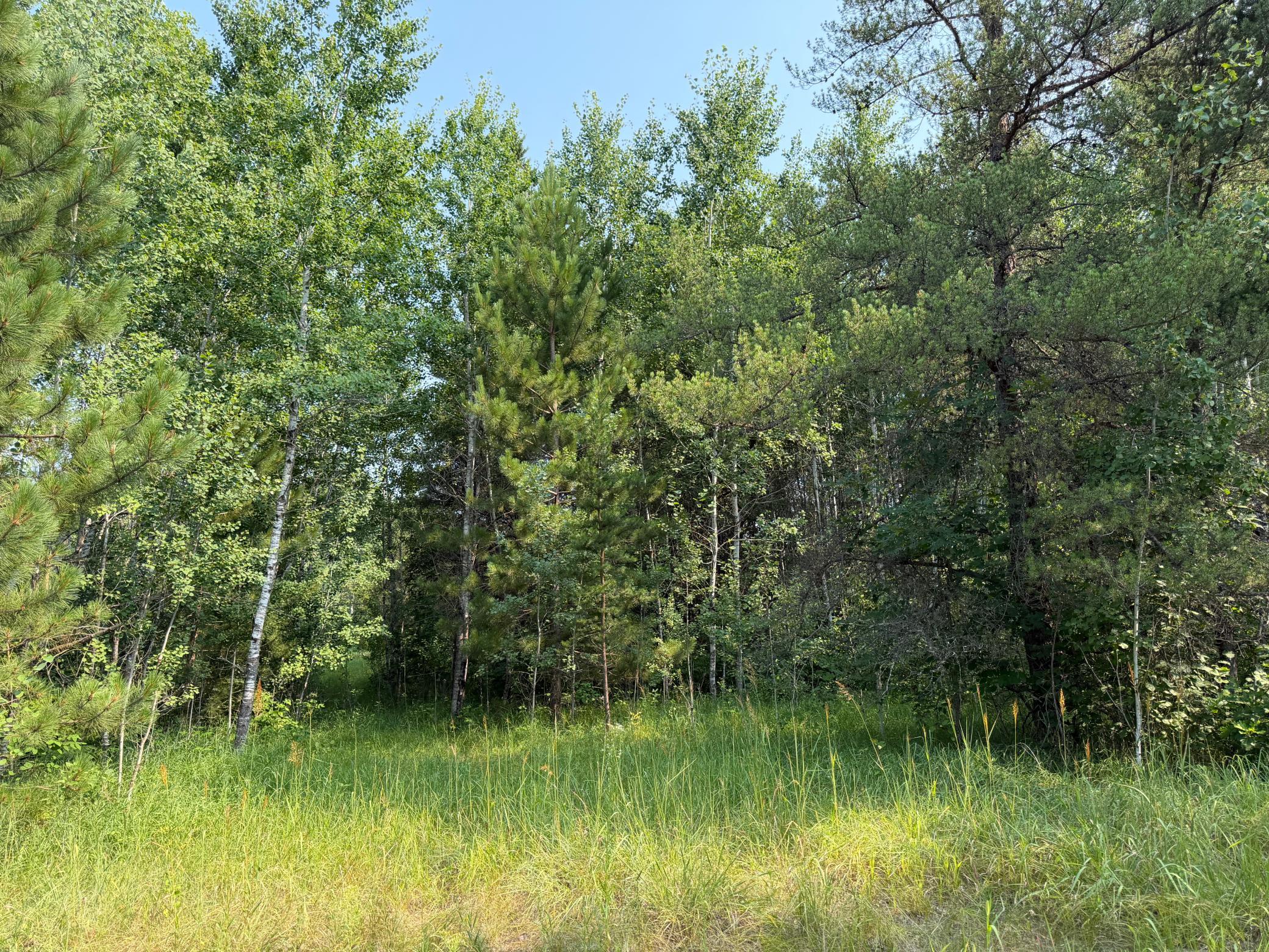 Tbd Co Rd 7 Property Photo 39