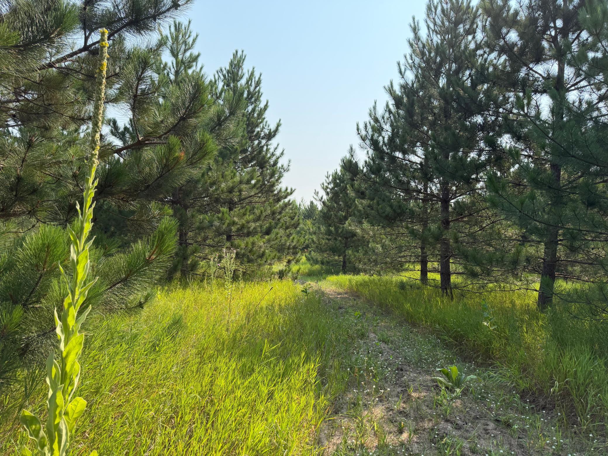 Tbd Co Rd 7 Property Photo 40