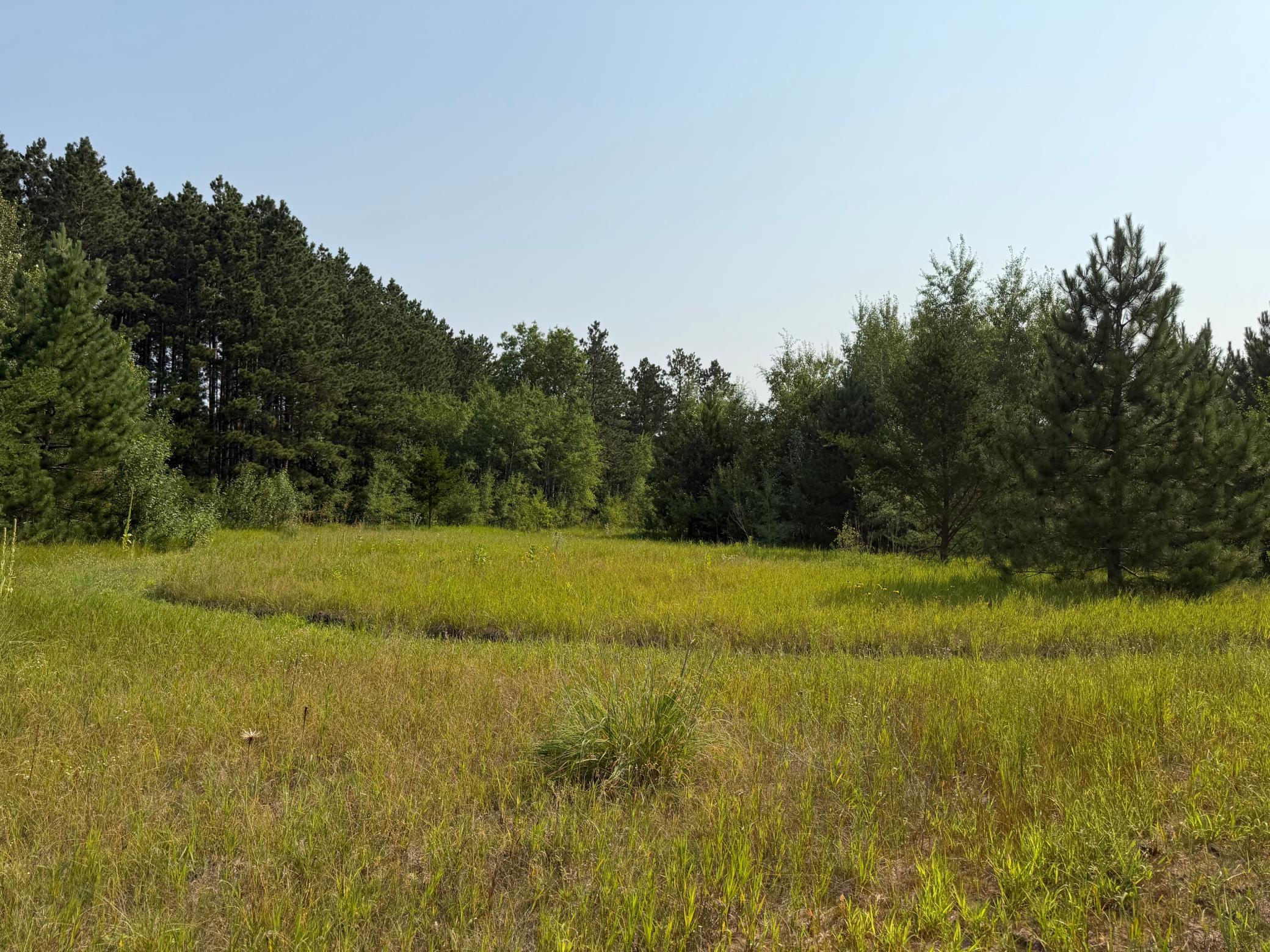 Tbd Co Rd 7 Property Photo 41