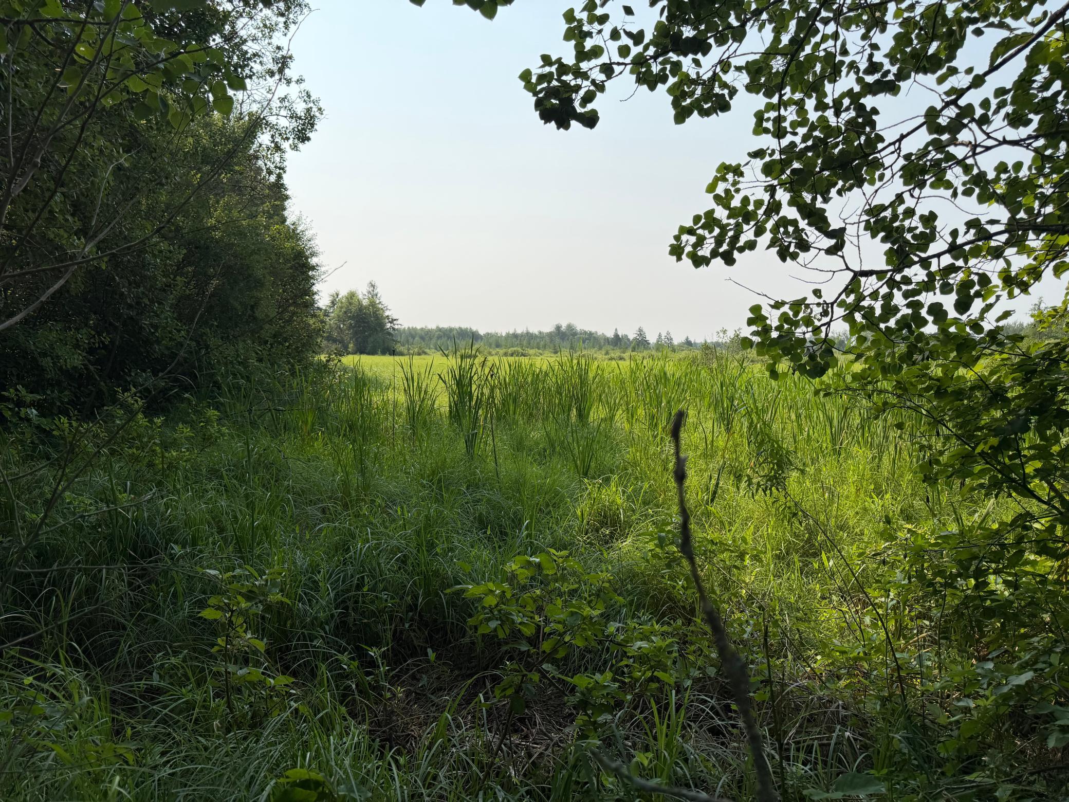 Tbd Co Rd 7 Property Photo 43