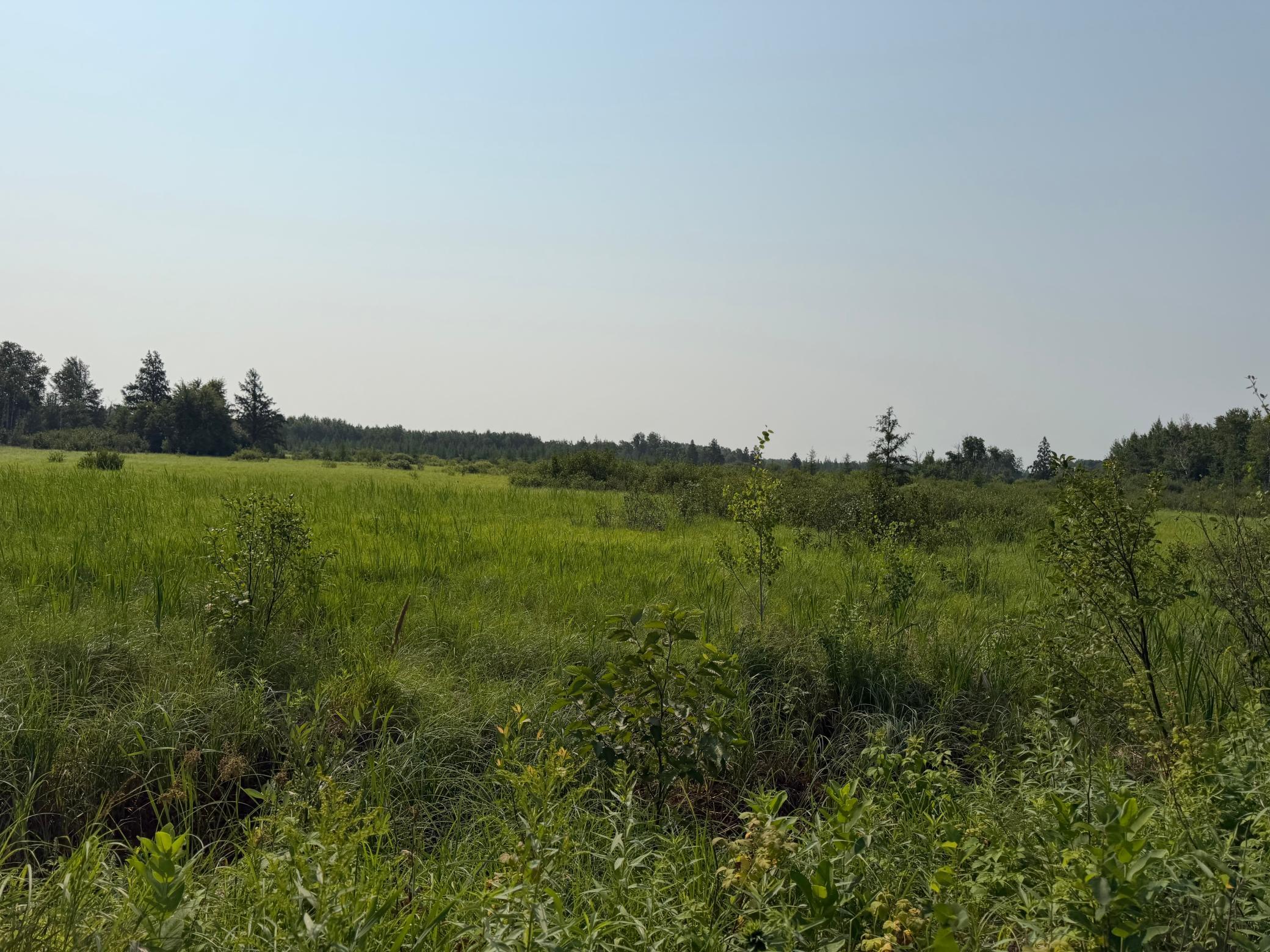 Tbd Co Rd 7 Property Photo 44