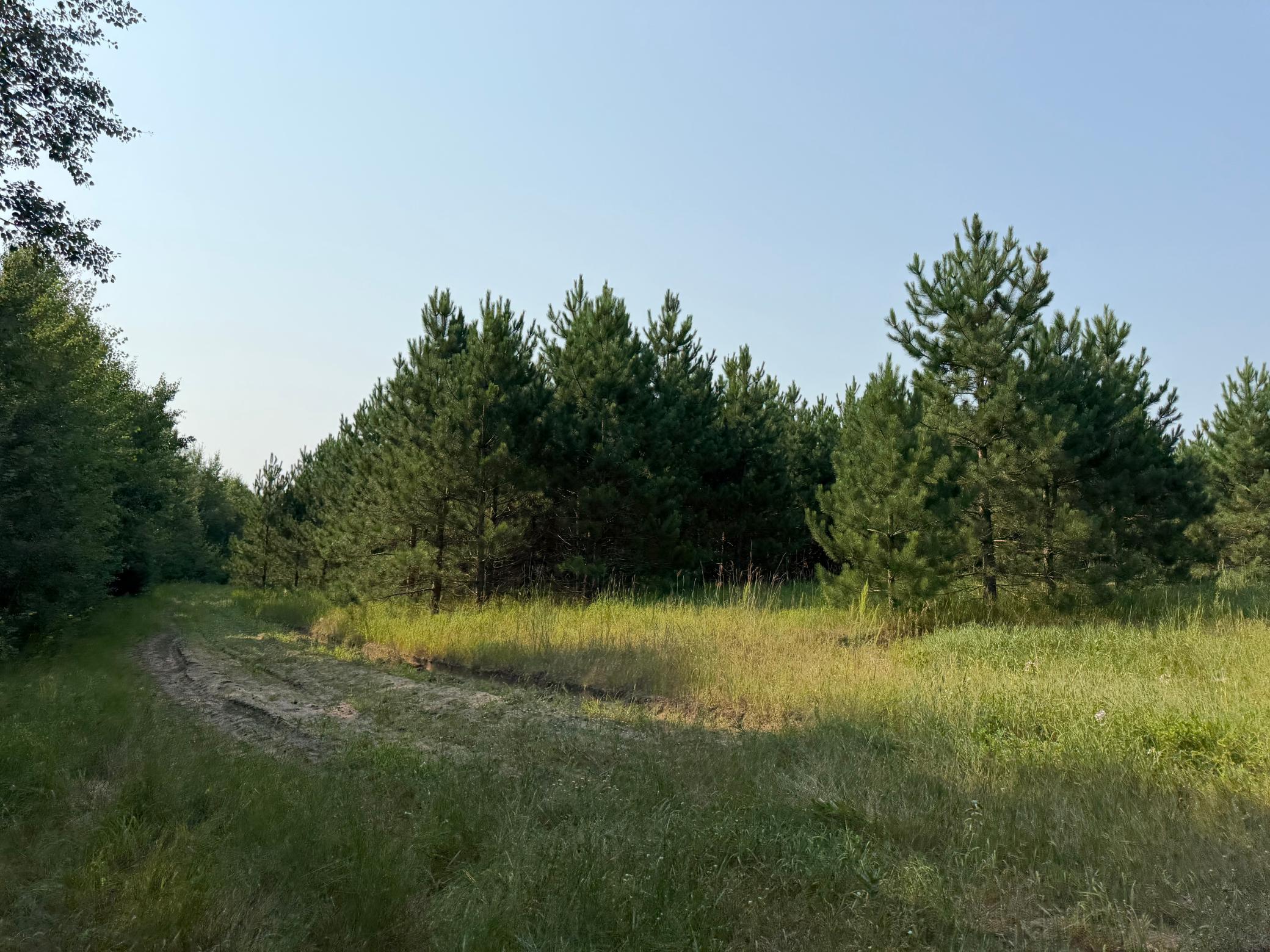 Tbd Co Rd 7 Property Photo 45