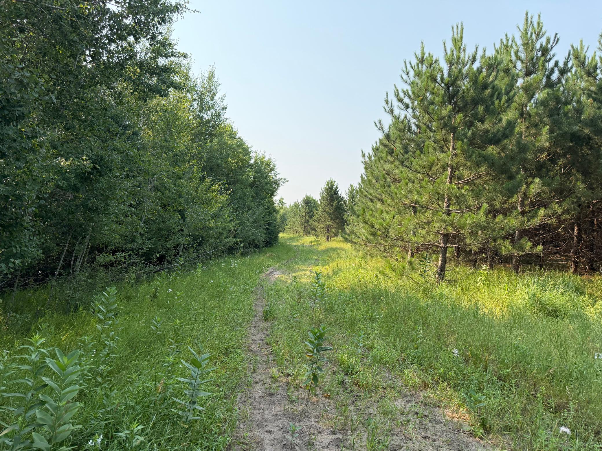 Tbd Co Rd 7 Property Photo 46