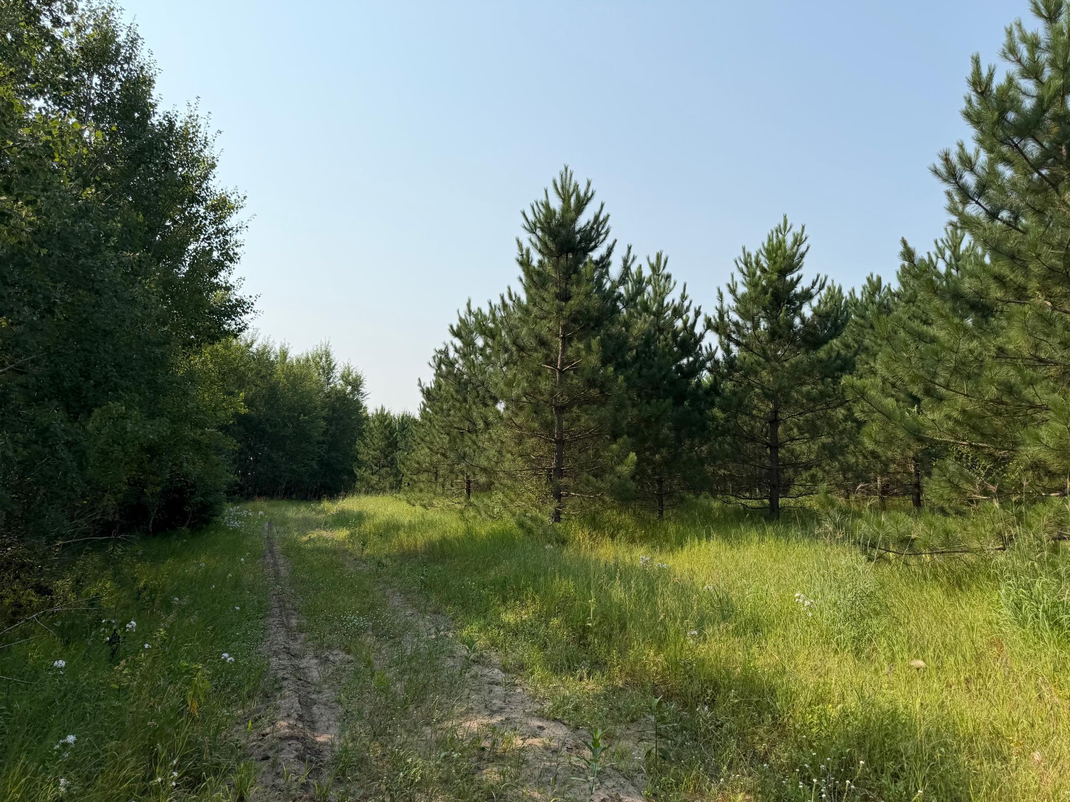 Tbd Co Rd 7 Property Photo 47