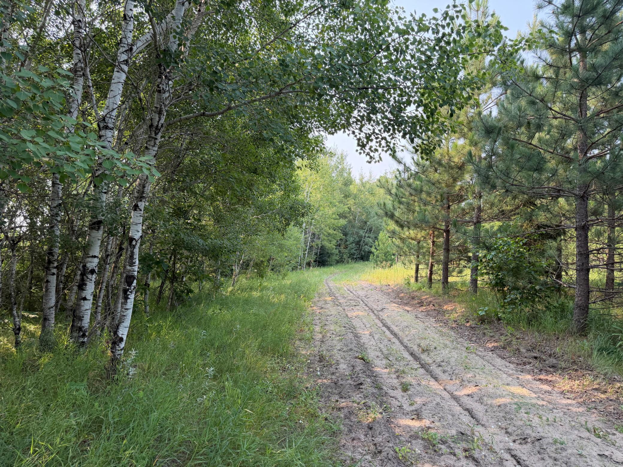 Tbd Co Rd 7 Property Photo 48