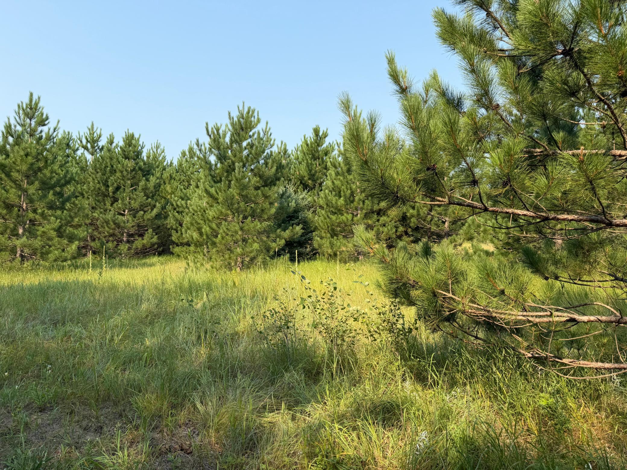 Tbd Co Rd 7 Property Photo 49