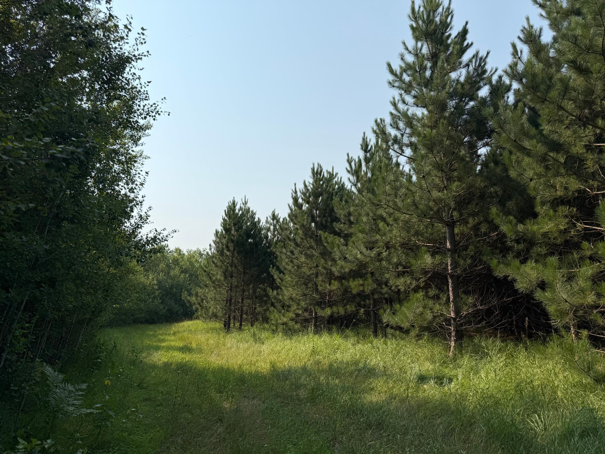 Tbd Co Rd 7 Property Photo 50