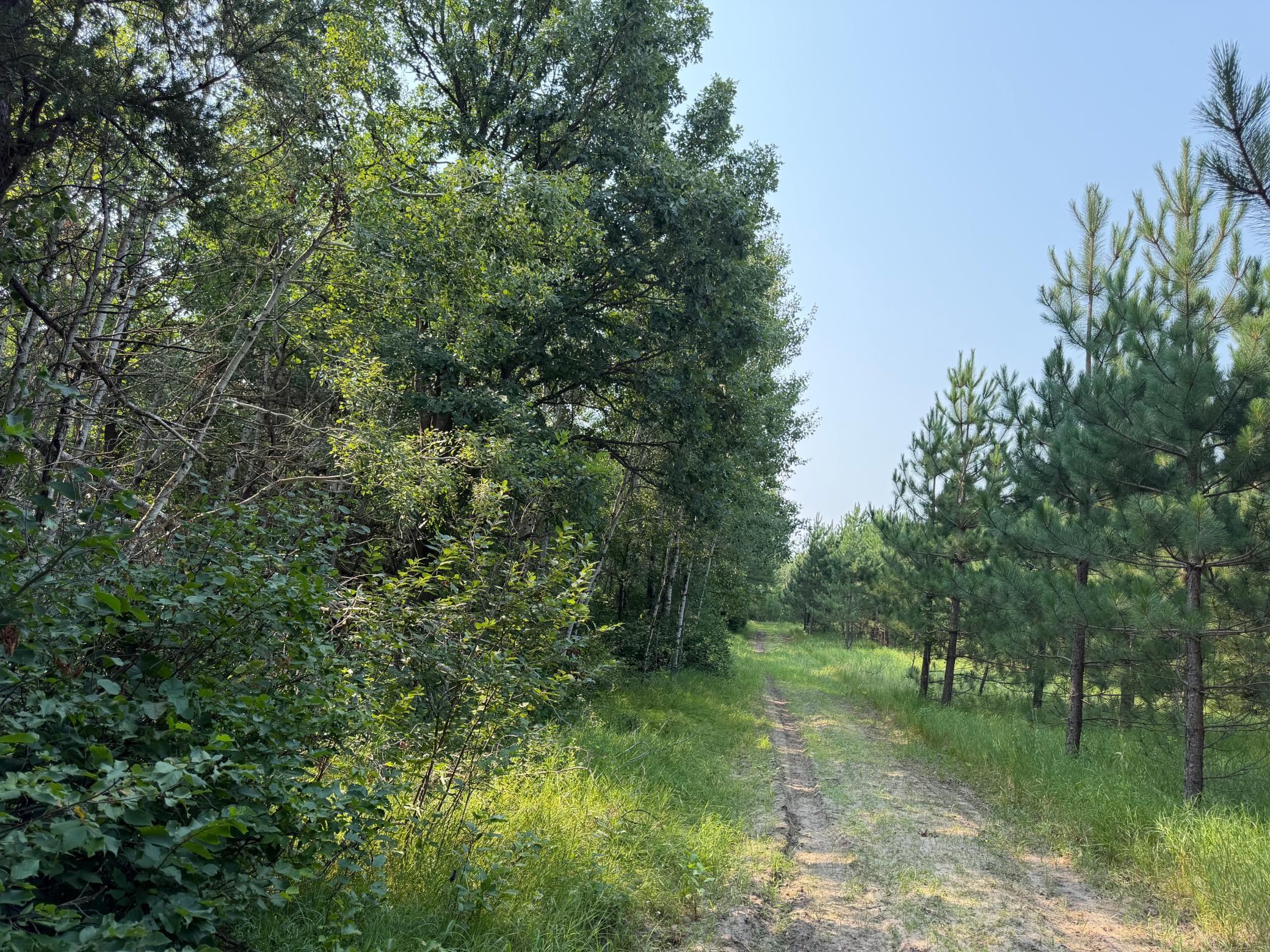 Tbd Co Rd 7 Property Photo 53