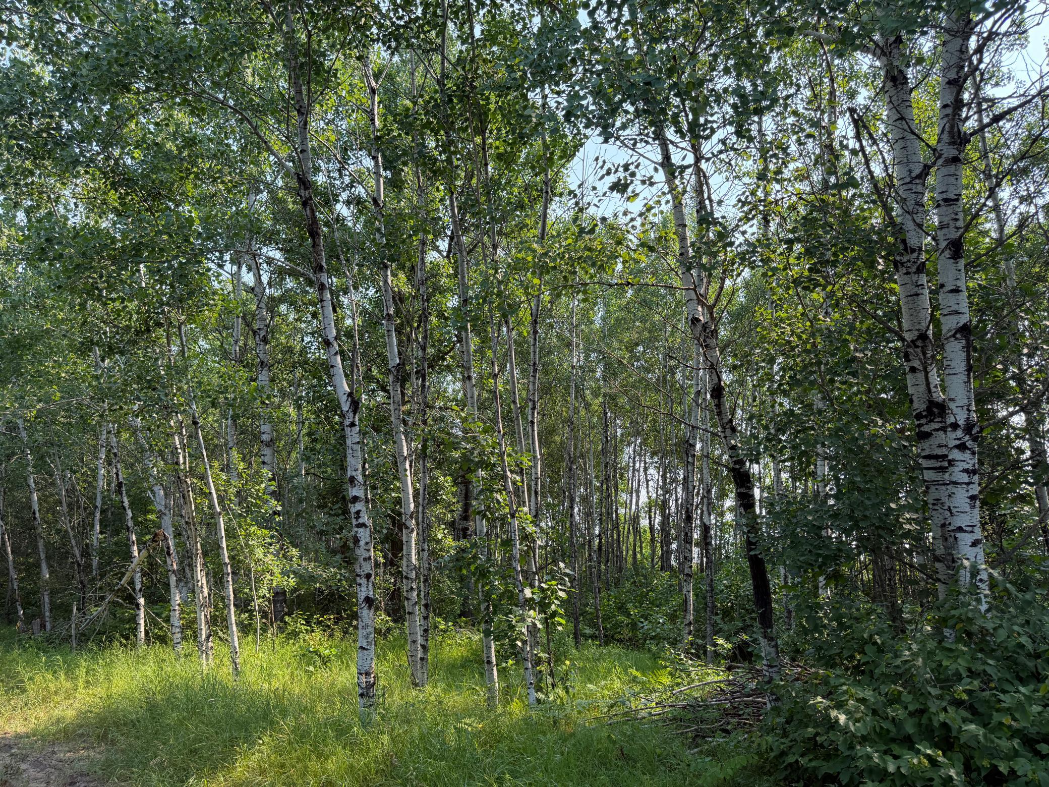 Tbd Co Rd 7 Property Photo 55