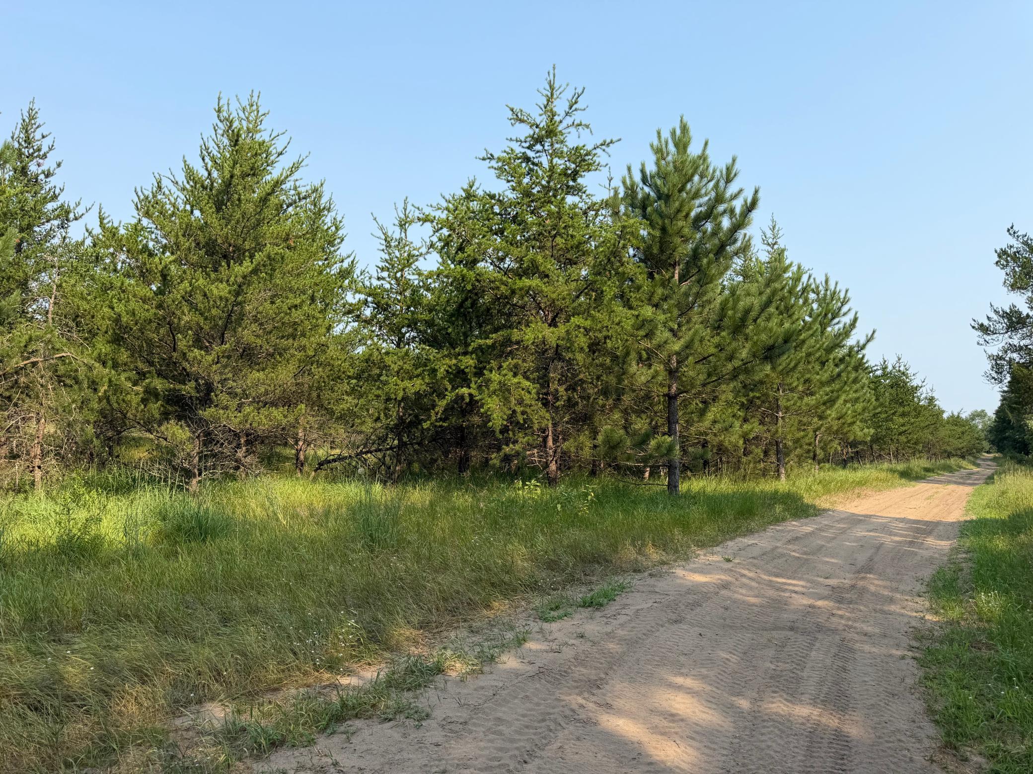 Tbd Co Rd 7 Property Photo 58