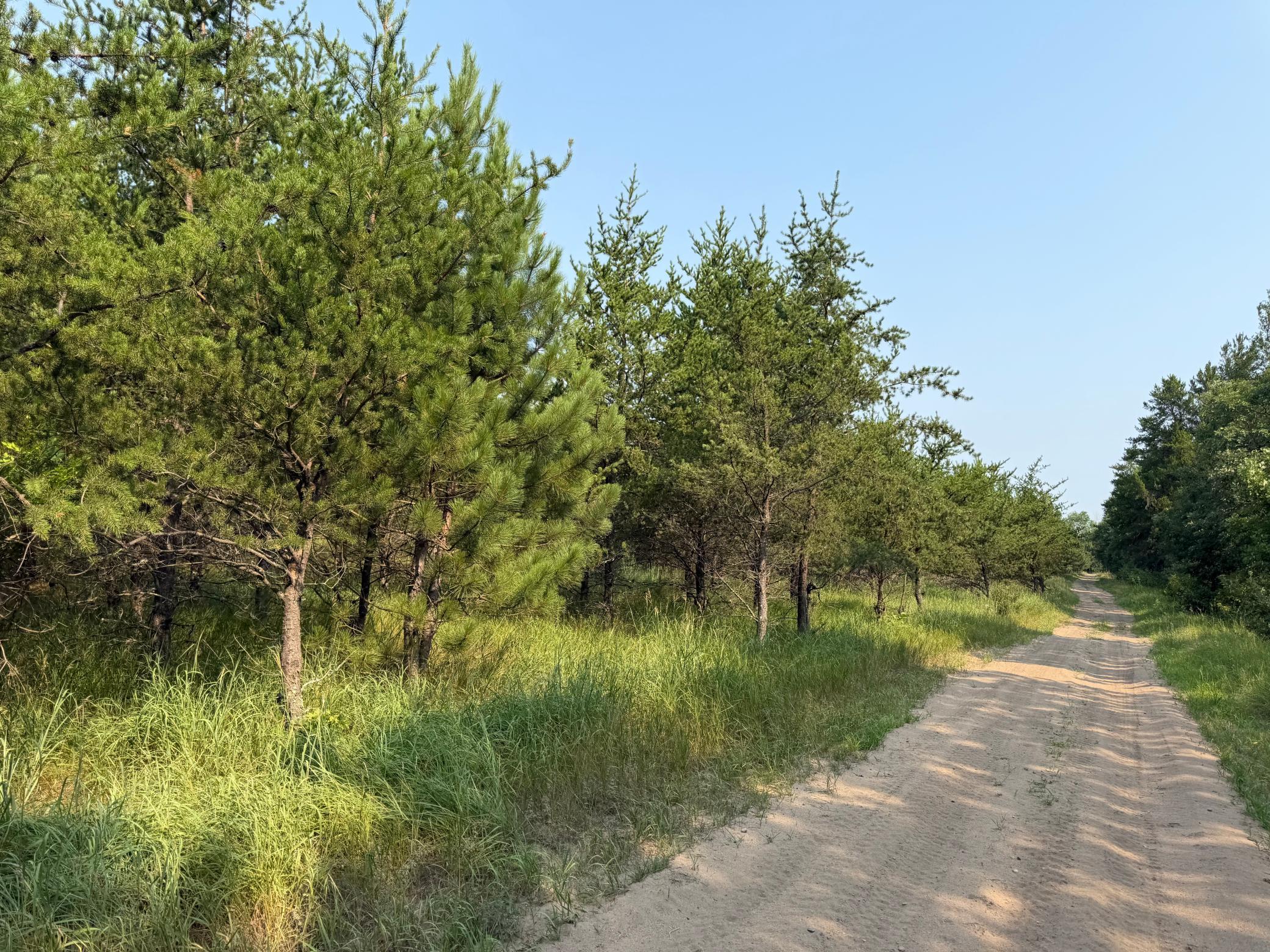 Tbd Co Rd 7 Property Photo 59