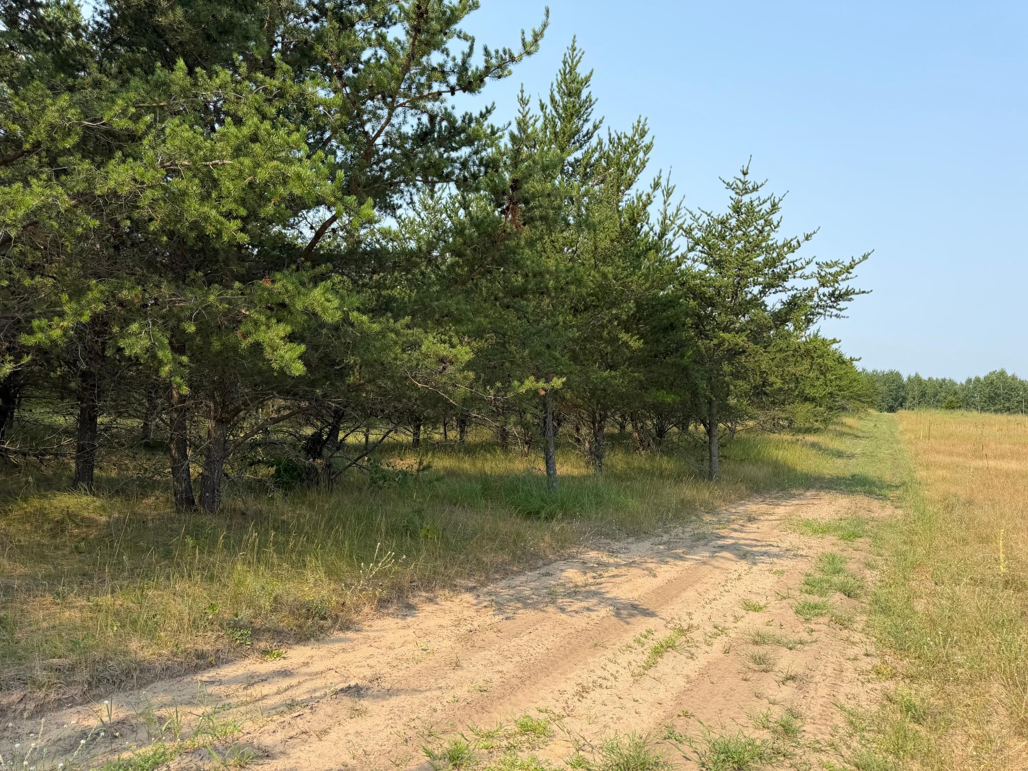 Tbd Co Rd 7 Property Photo 61