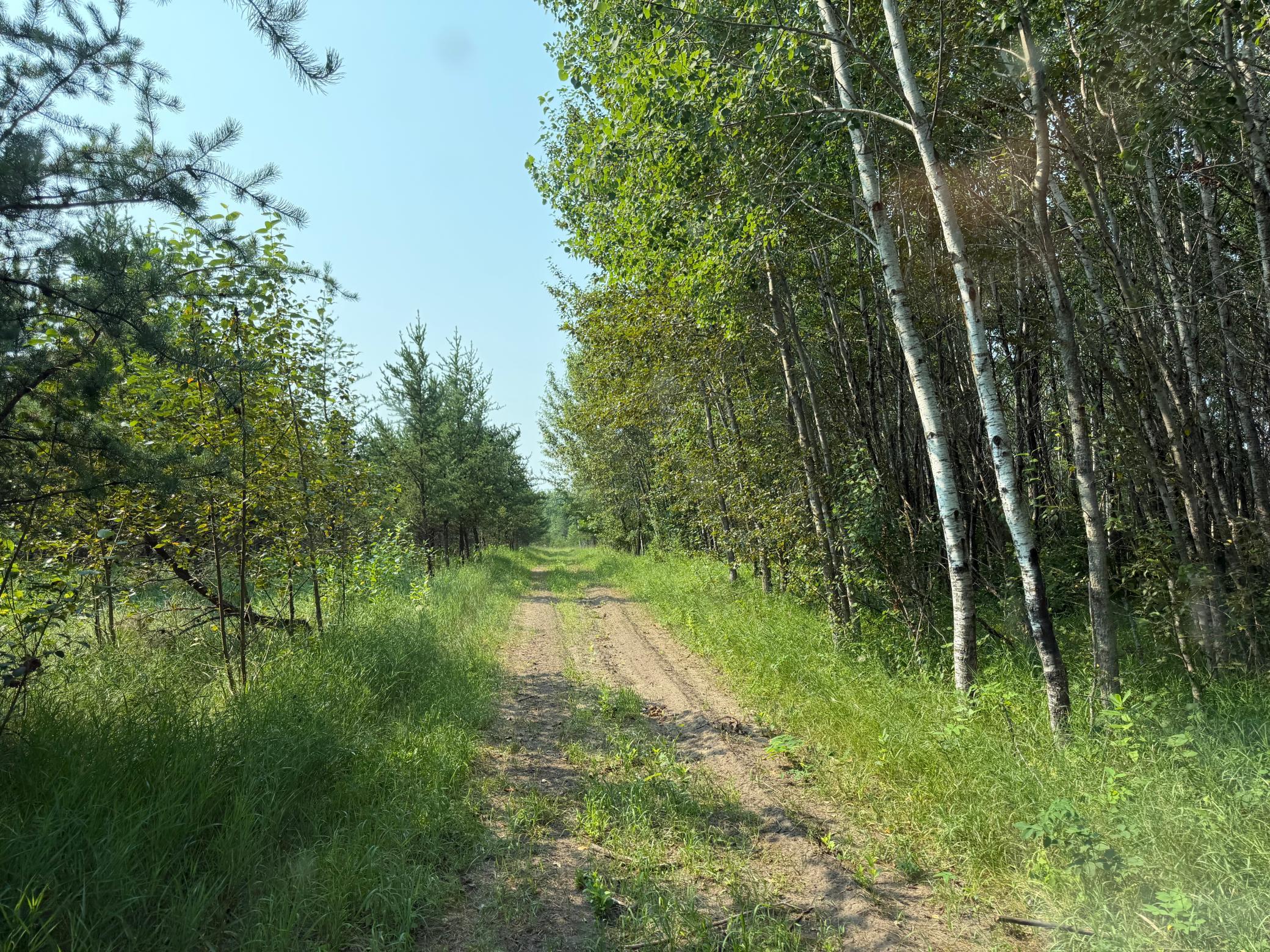 Tbd Co Rd 7 Property Photo 62