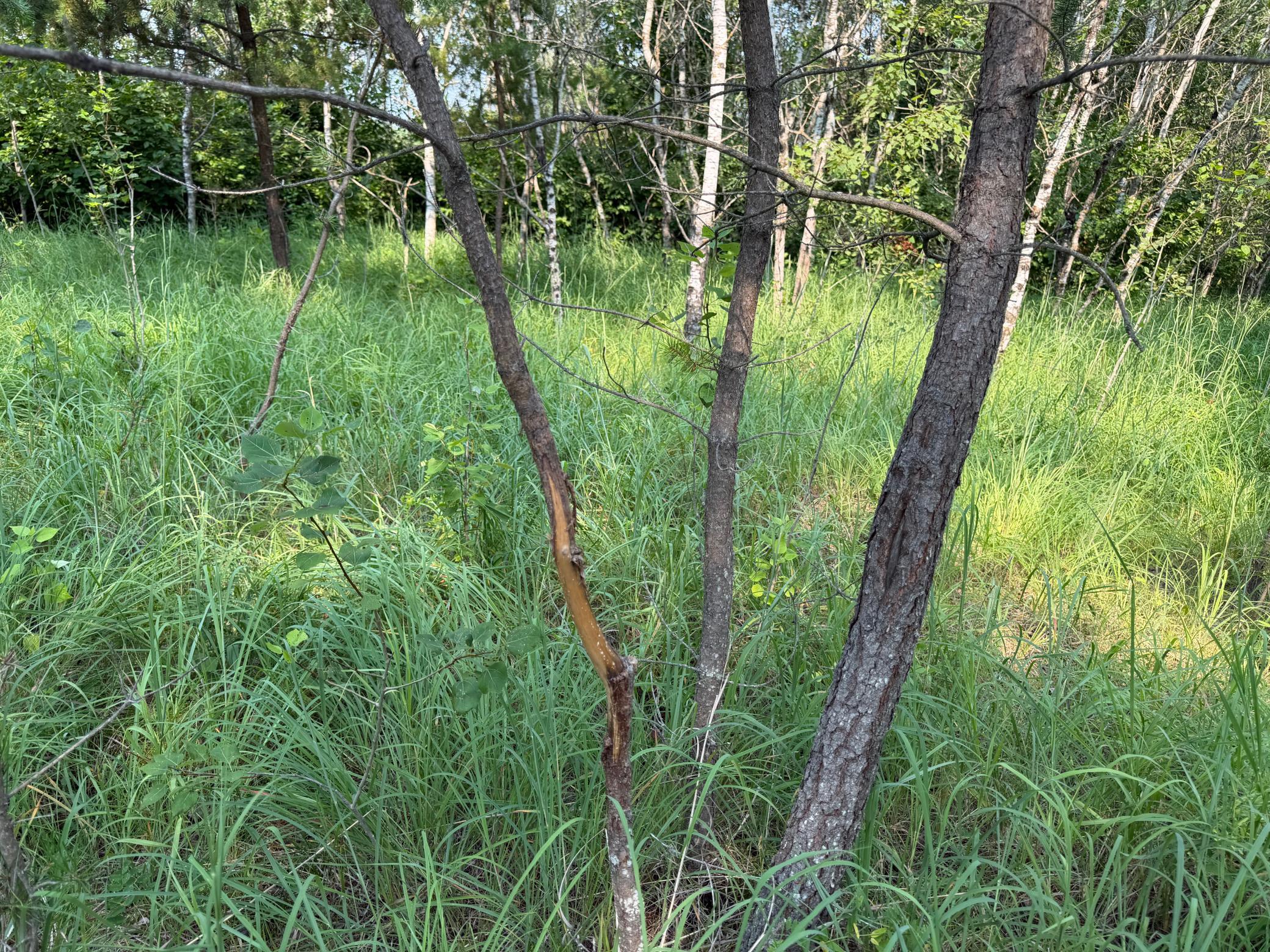 Tbd Co Rd 7 Property Photo 66
