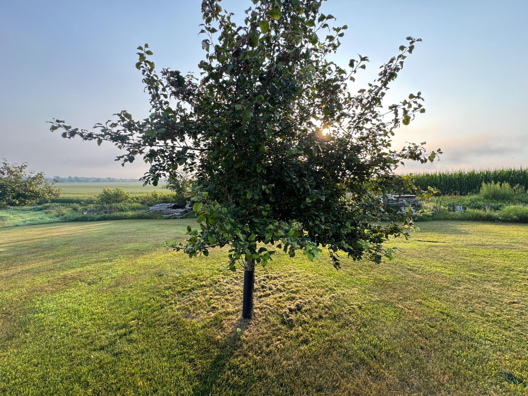 1722 Us Highway 12 Property Photo 50