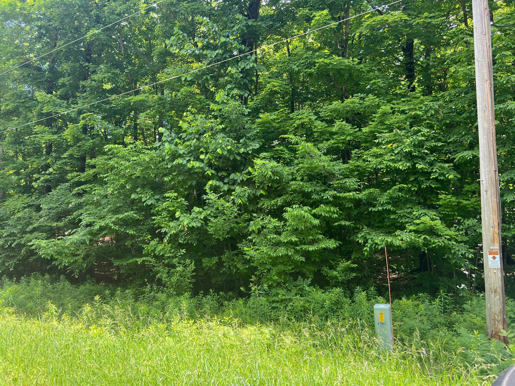 Tbd 28 1/4 Street Property Photo 1