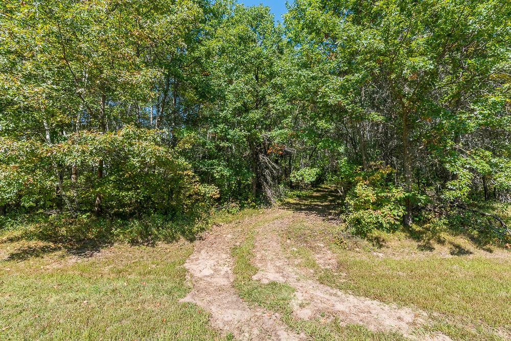 Tract A Tbd Little Pine Road Property Photo 5