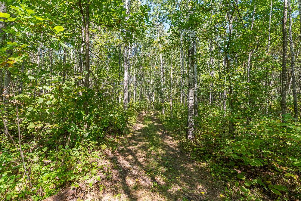 Tract A Tbd Little Pine Road Property Photo 7