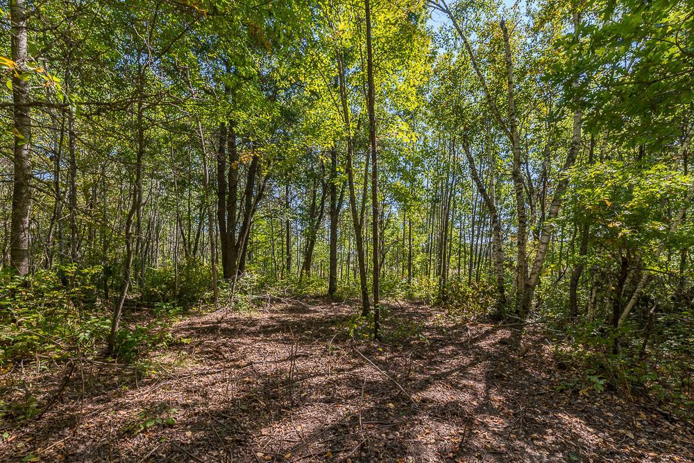 Tract A Tbd Little Pine Road Property Photo 8
