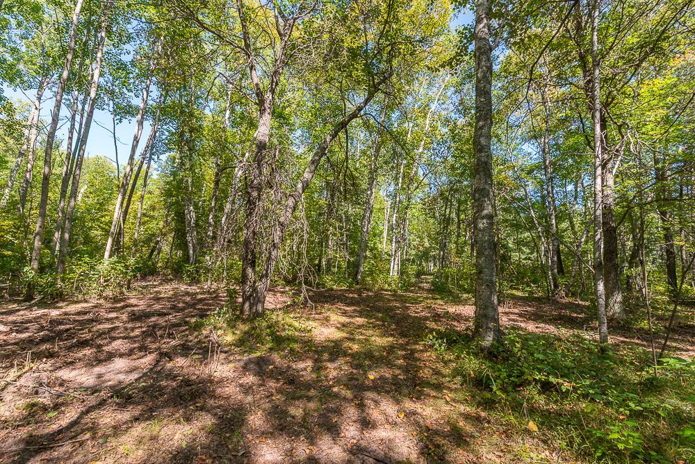 Tract A Tbd Little Pine Road Property Photo 9