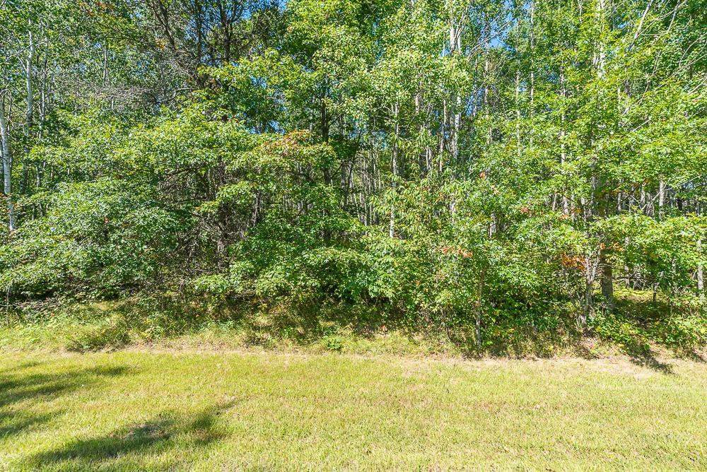 Tract A Tbd Little Pine Road Property Photo 12