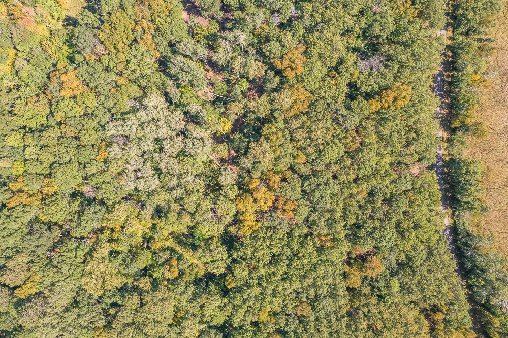 Tract A Tbd Little Pine Road Property Photo 16