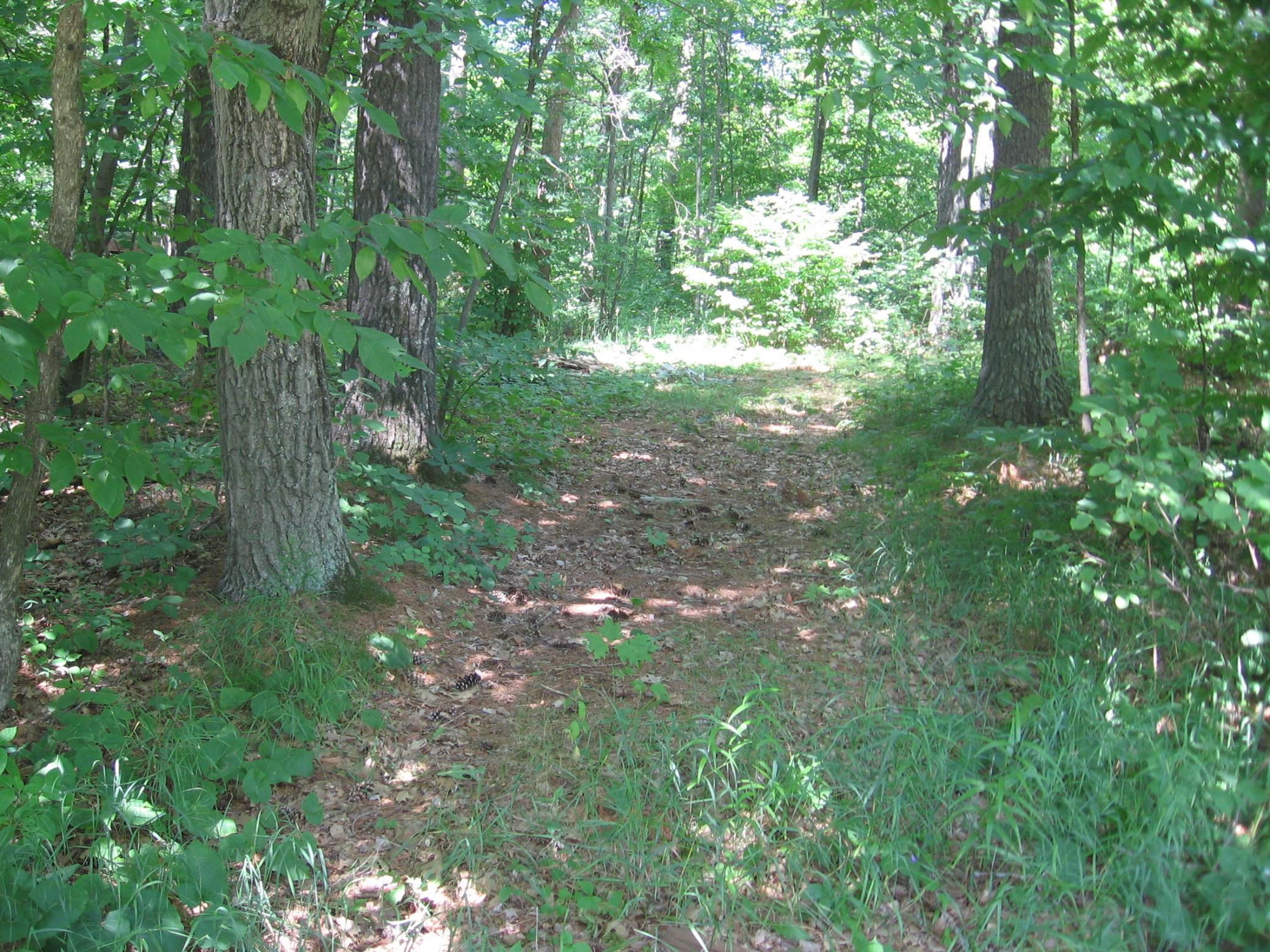 Tbd County 5 Nw Property Photo 2
