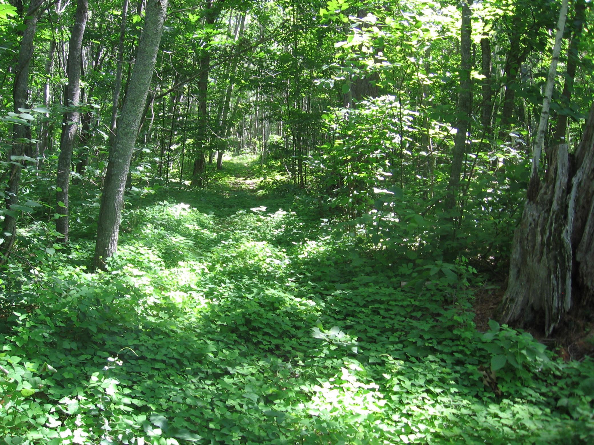 Tbd County 5 Nw Property Photo 4