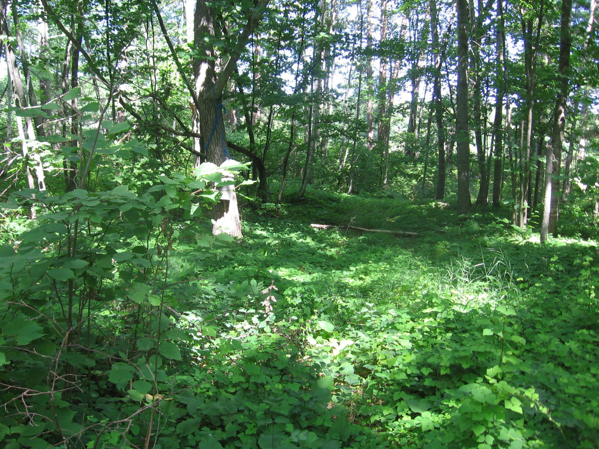 Tbd County 5 Nw Property Photo 7