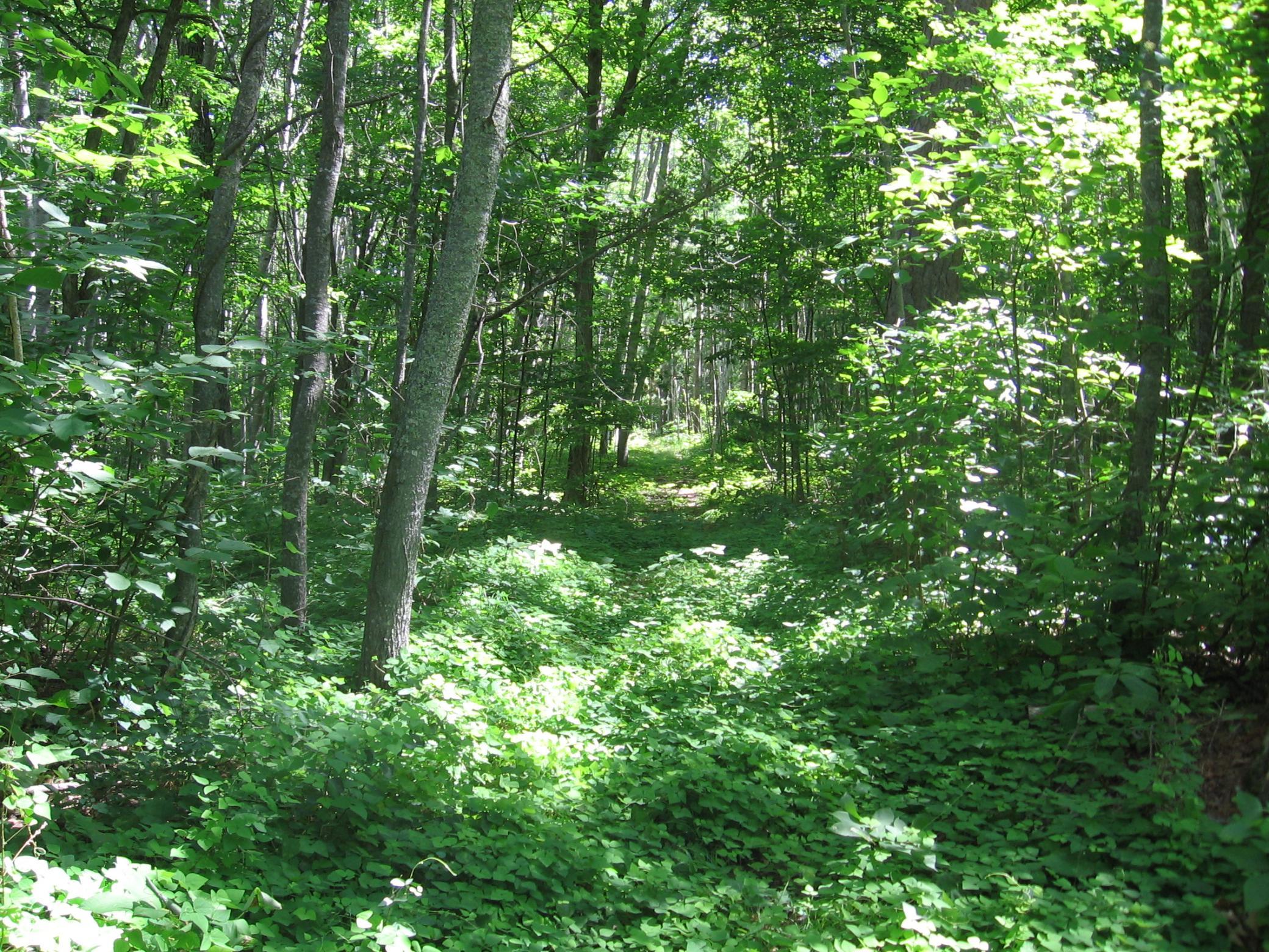Tbd County 5 Nw Property Photo 8