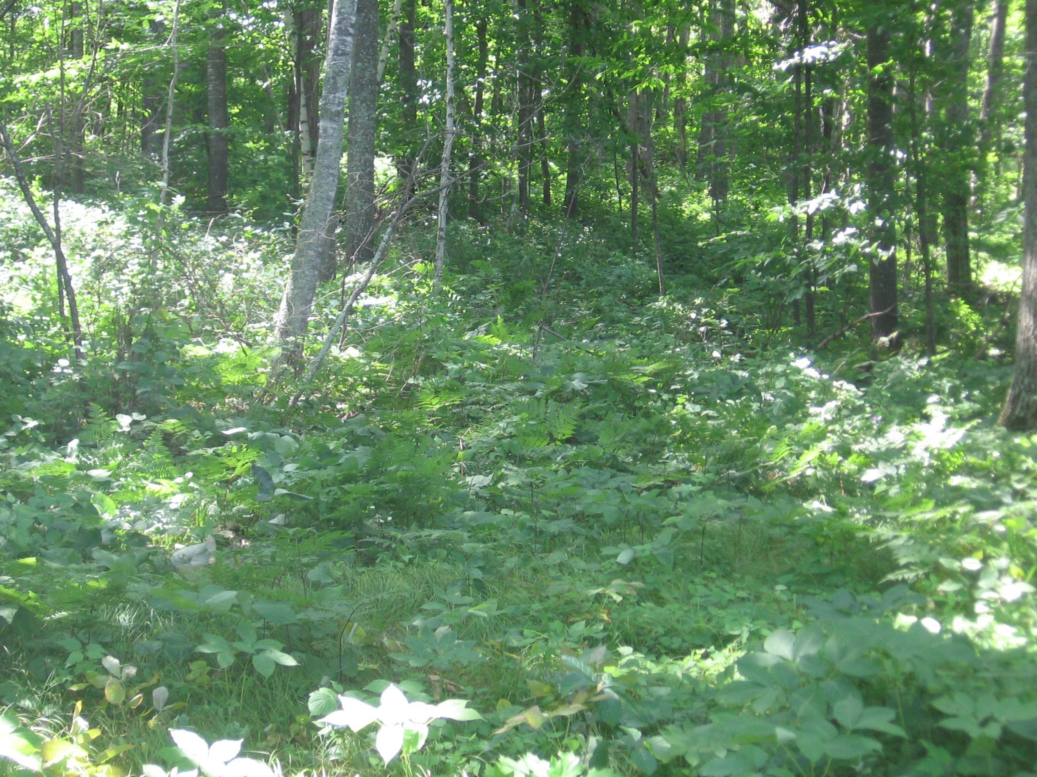 Tbd County 5 Nw Property Photo 9