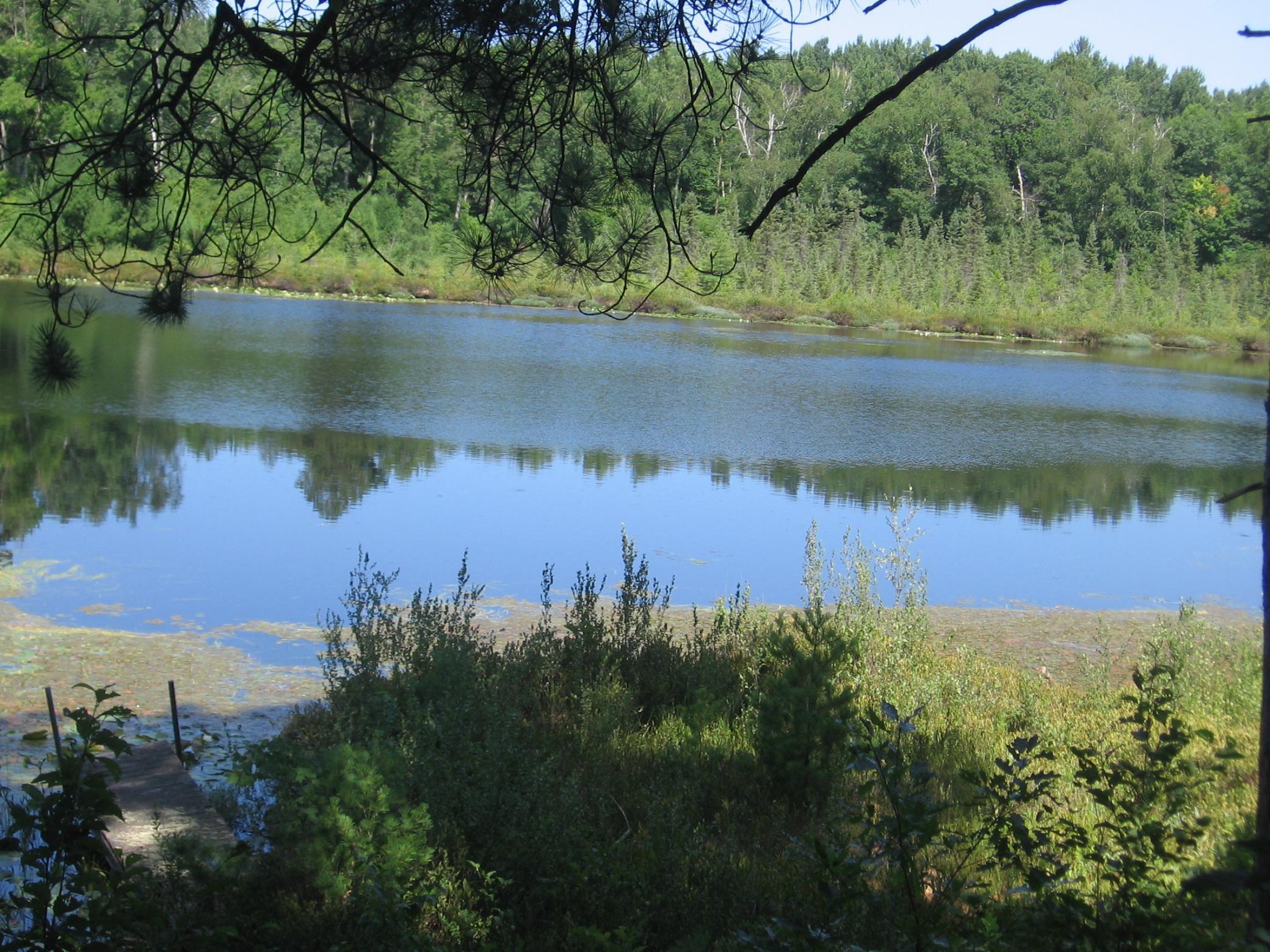 Tbd County 5 Nw Property Photo 12