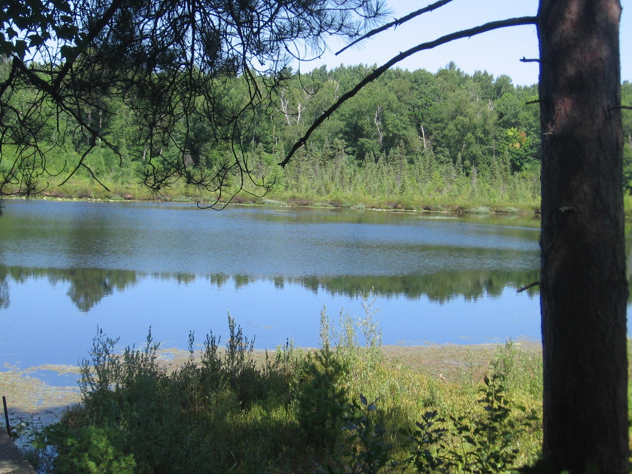 Tbd County 5 Nw Property Photo 13