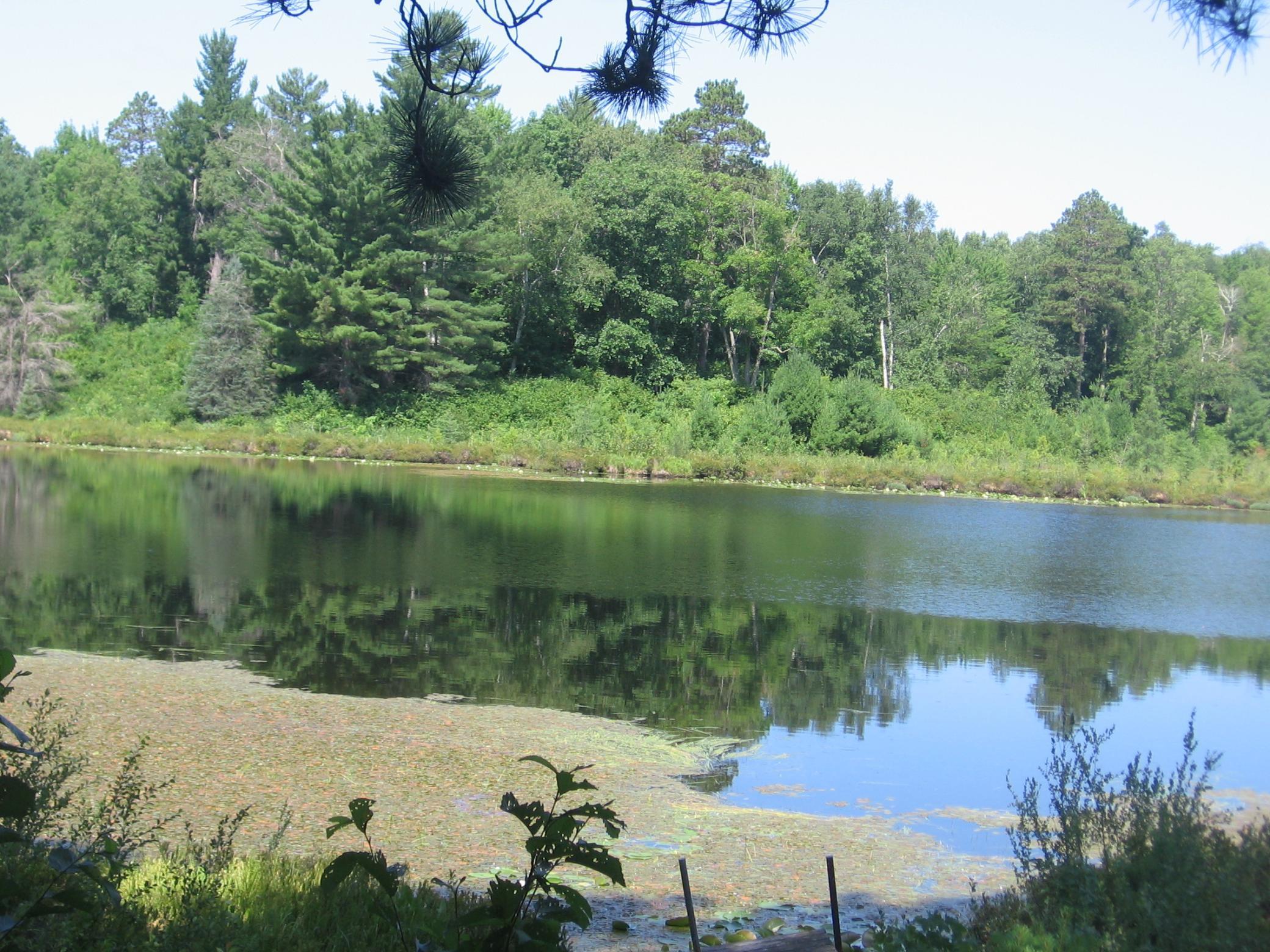 Tbd County 5 Nw Property Photo 14