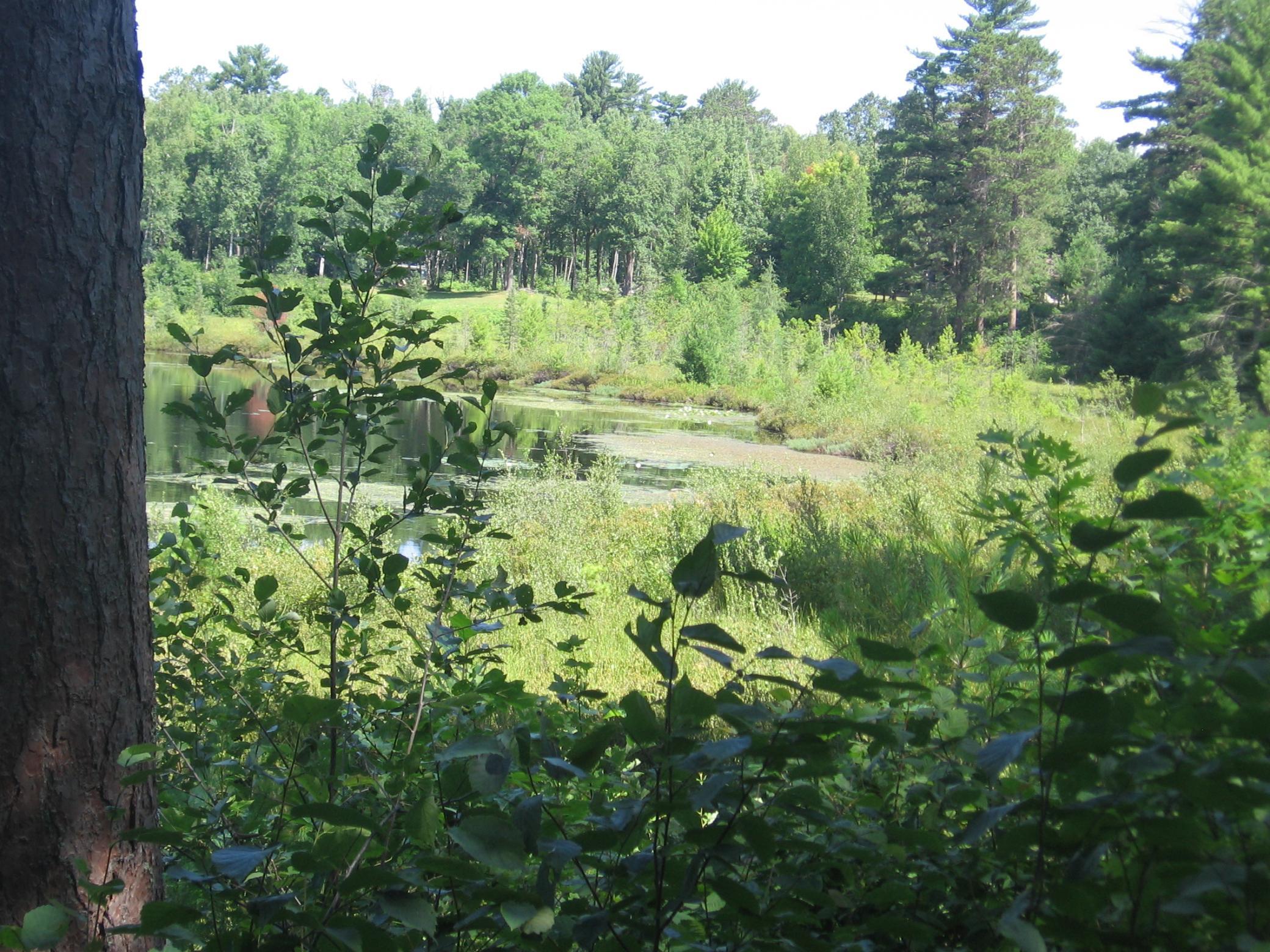 Tbd County 5 Nw Property Photo 16