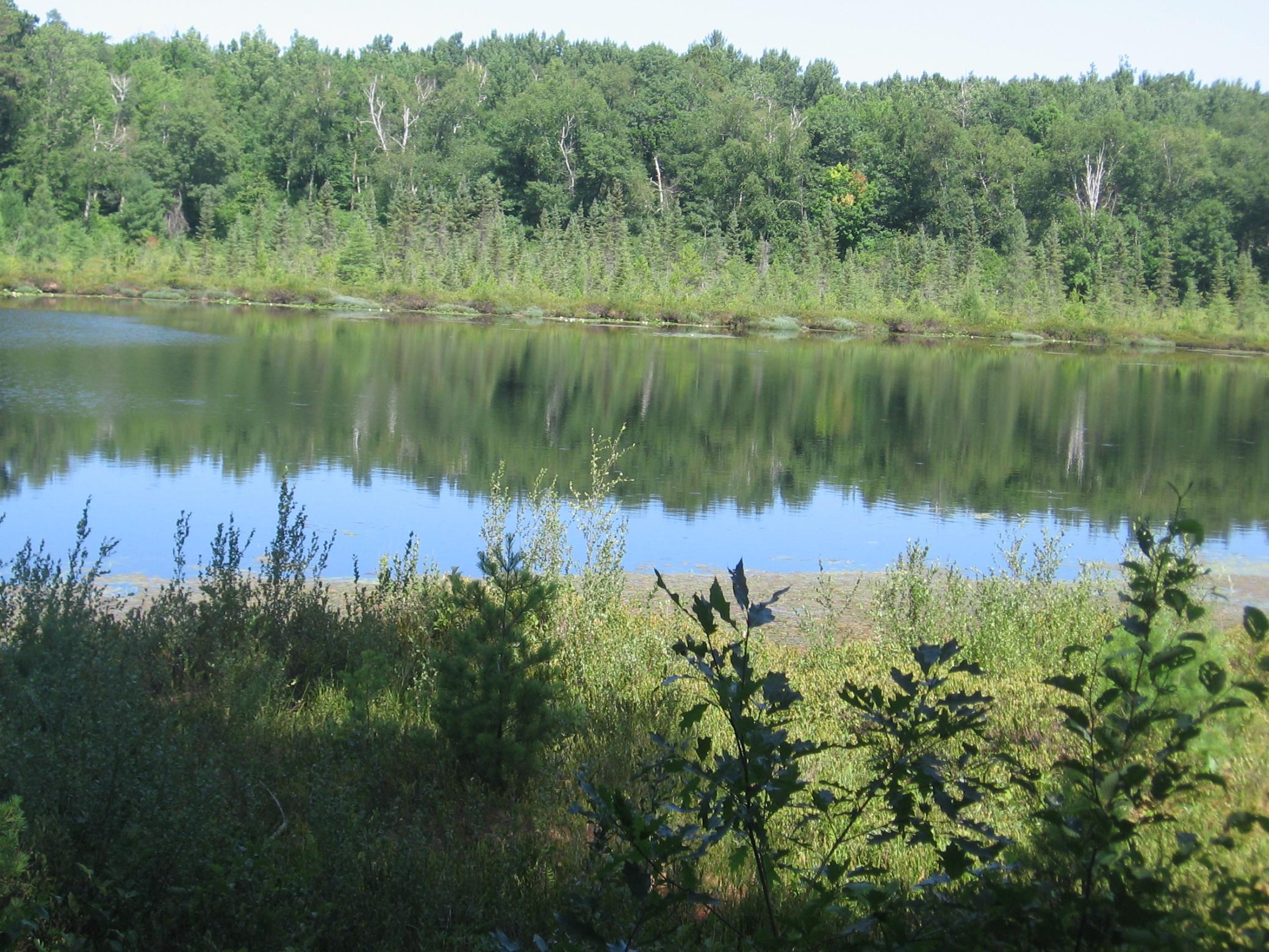 Tbd County 5 Nw Property Photo 17