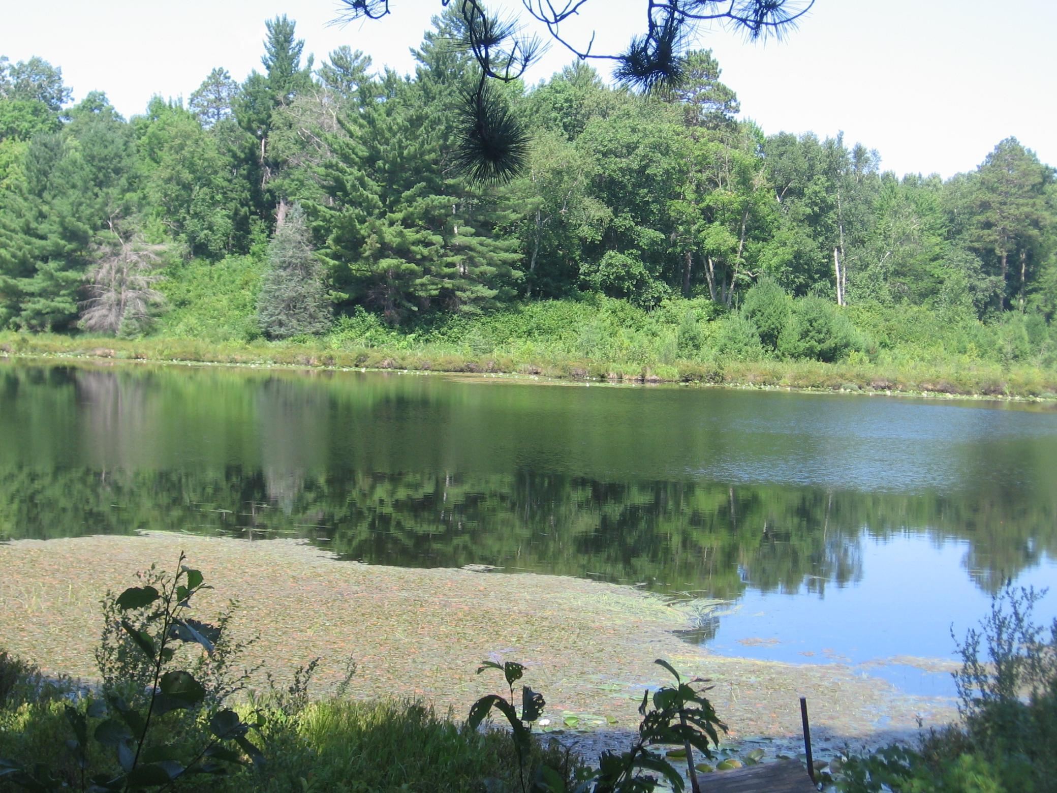 Tbd County 5 Nw Property Photo 18